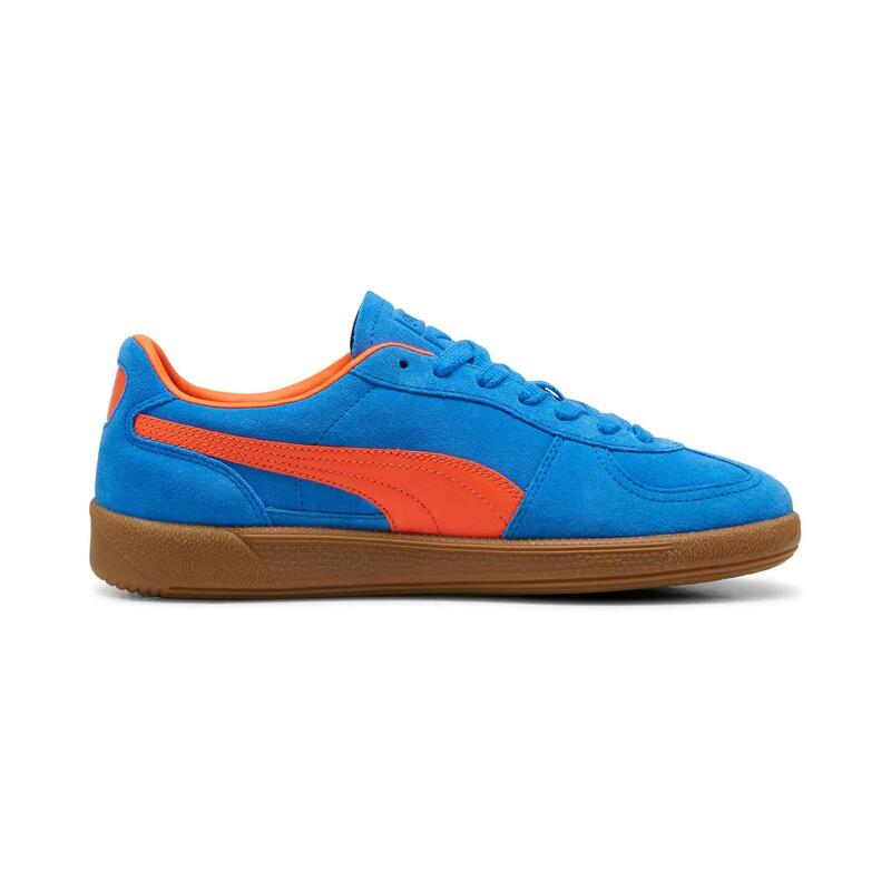 Kosarak Puma Palermo