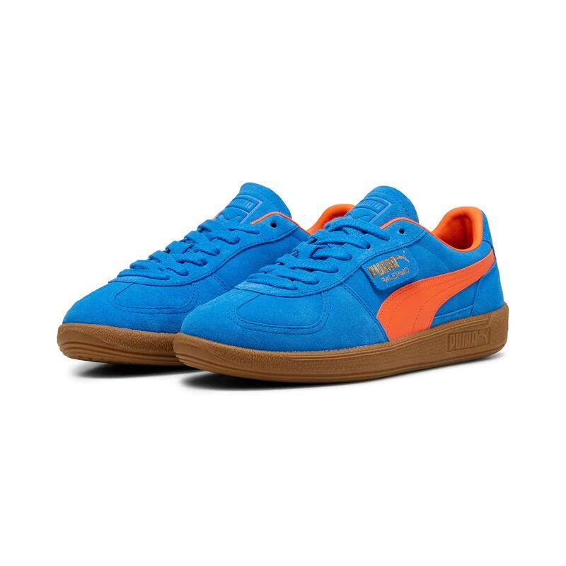 Kosarak Puma Palermo