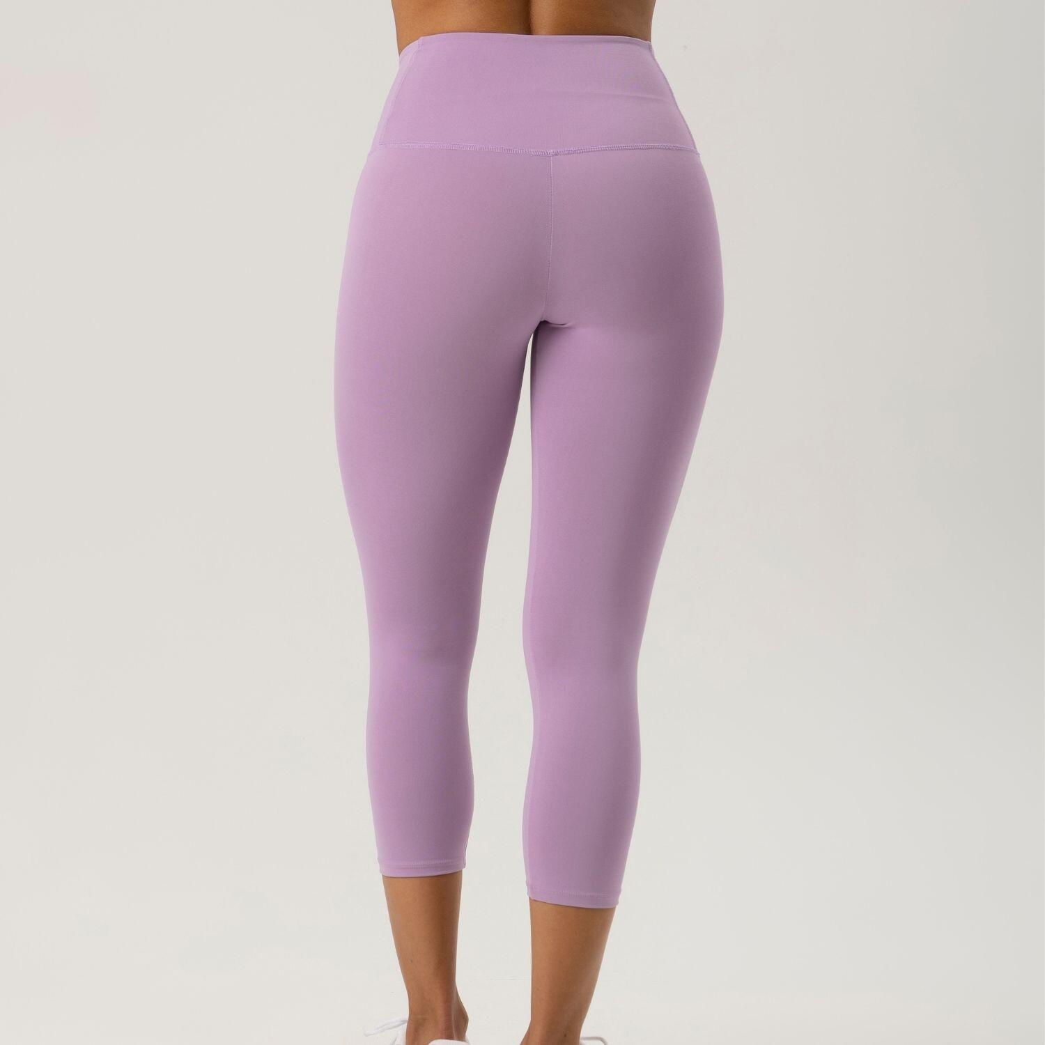 rose lilas