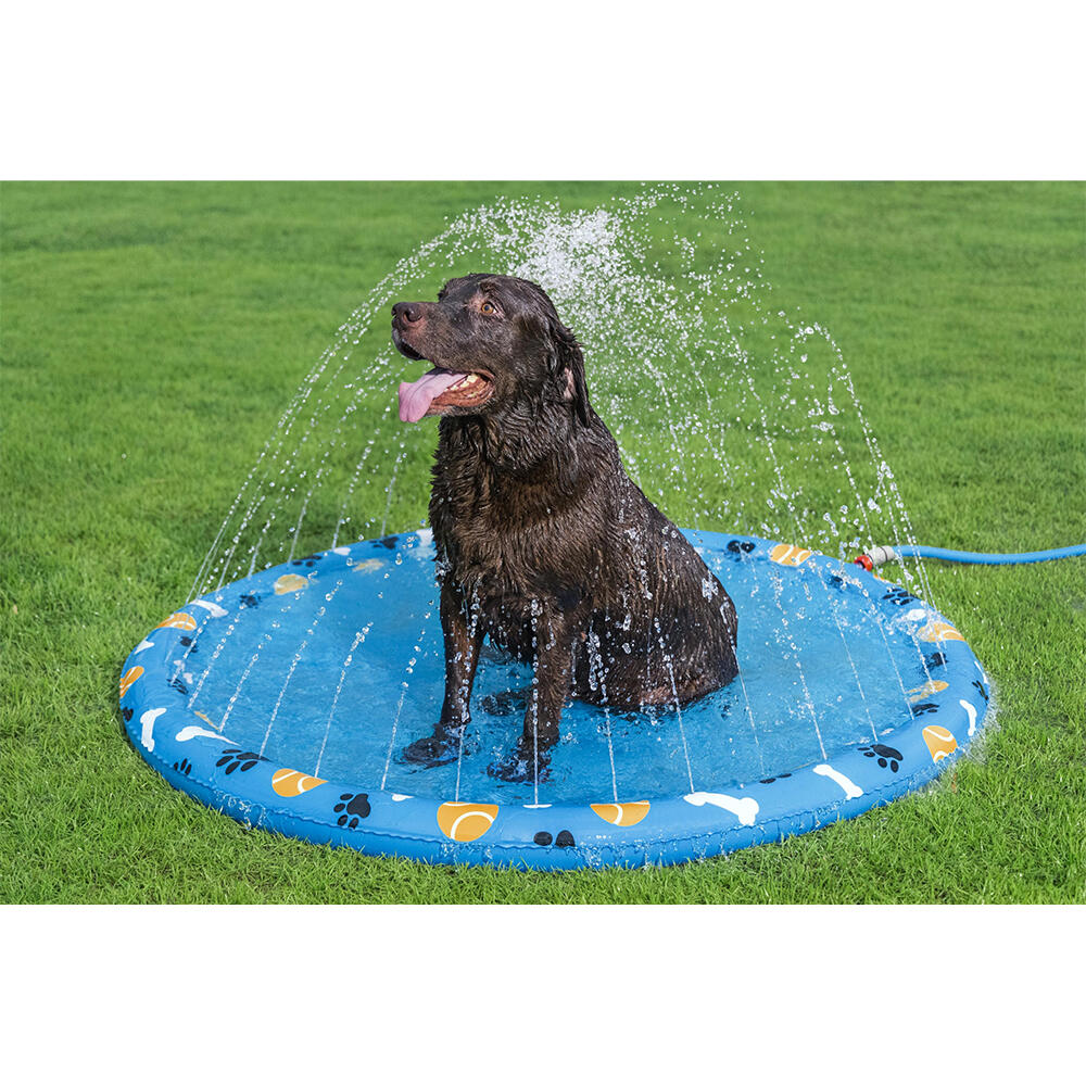 Bestway Dog Splash Pad, Non-Slip Sprinkler Mat for Dog Pool & Water Play 7/7