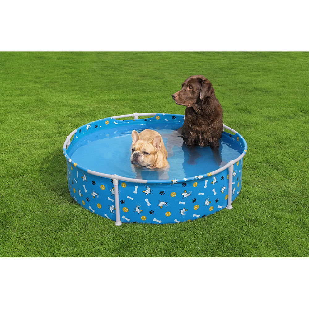 Bestway Fetchin' Fun Pet Play Pool 122 x 30,5 cm 2/7