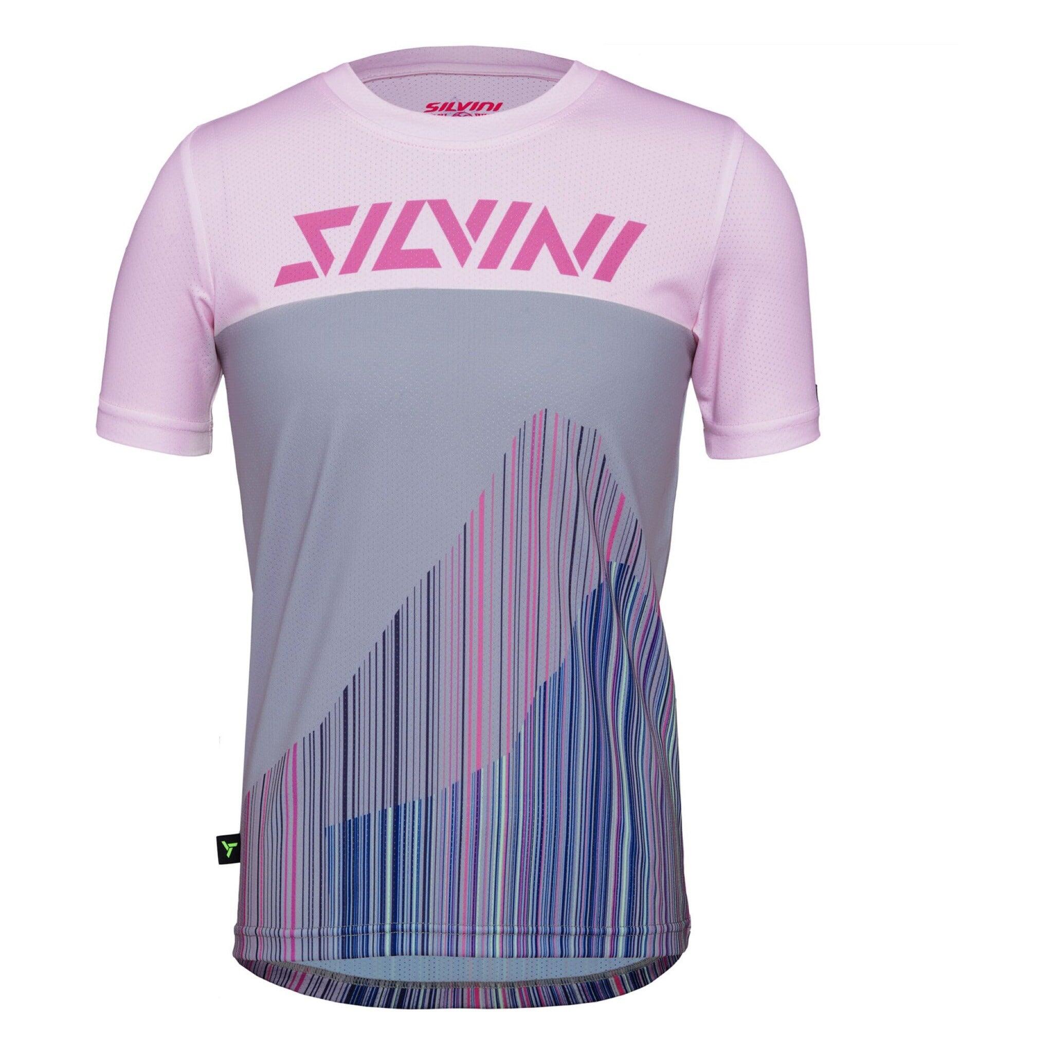SILVINI picture
