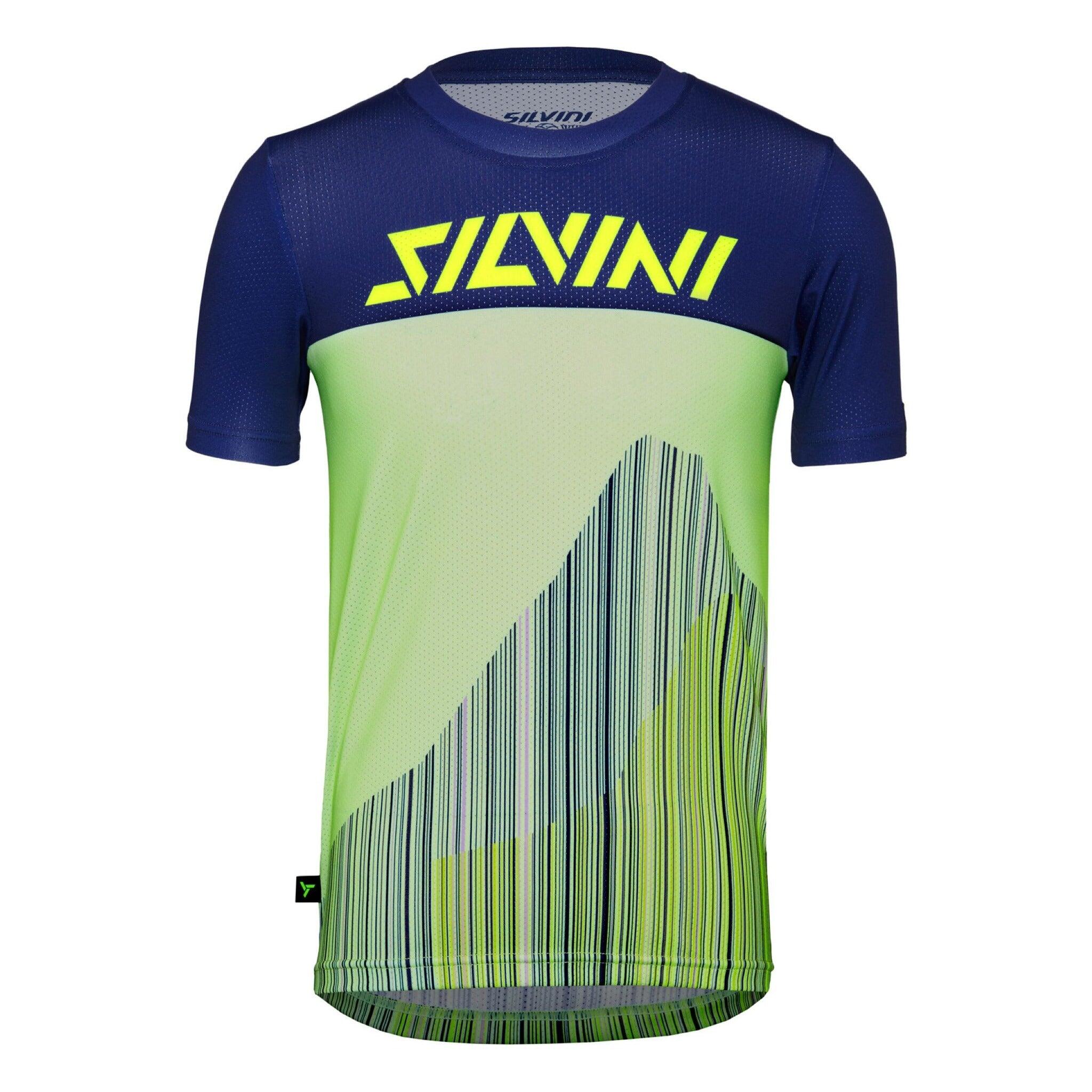 SILVINI picture