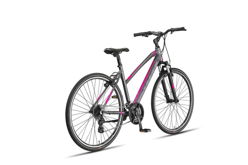 ALTEC Crossfiets 28 inch Legarda Lady, grijs-roze 3/6