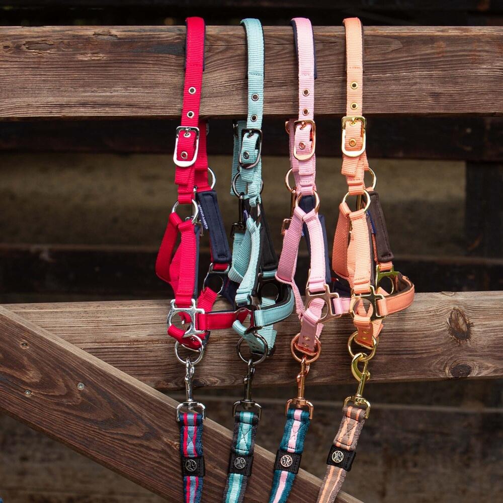 Harry's Horse Veulenhalster Metal - Pink Dolphin 3/3