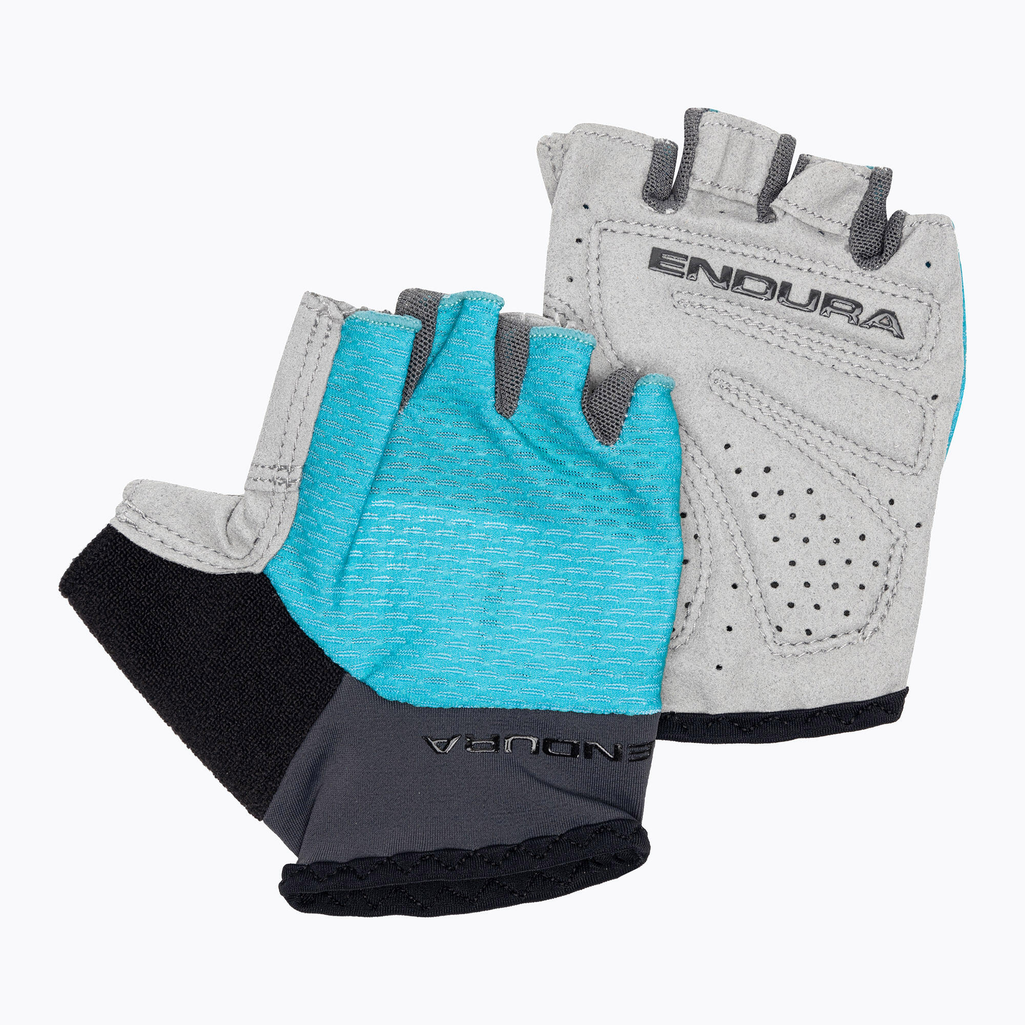 ENDURA picture