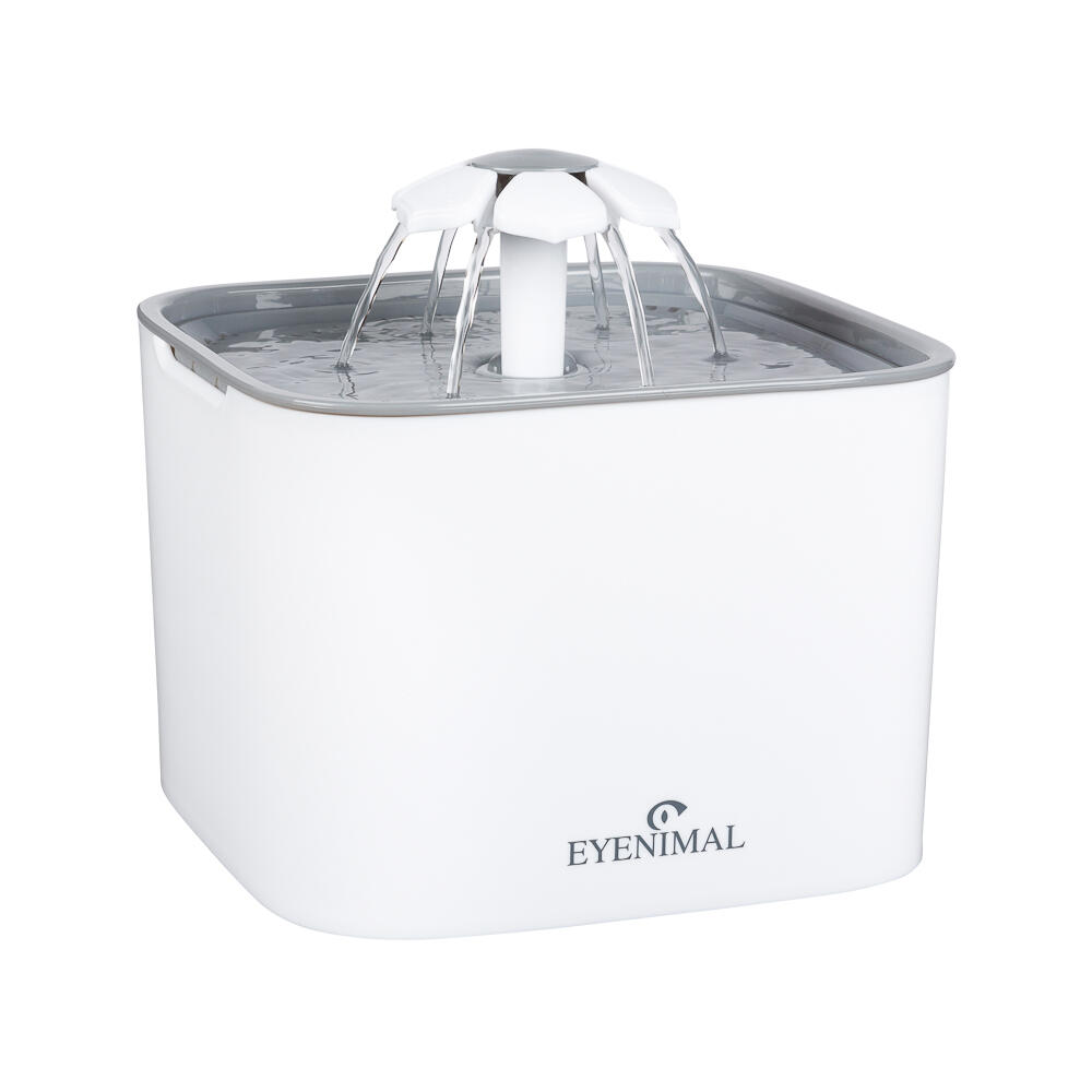 EYENIMAL picture