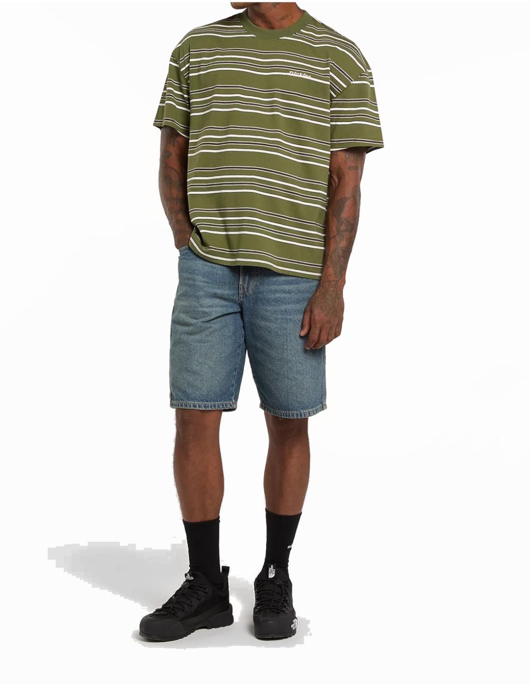 Camiseta para Hombre Dickies  east liberty stripe  Verde 6/6