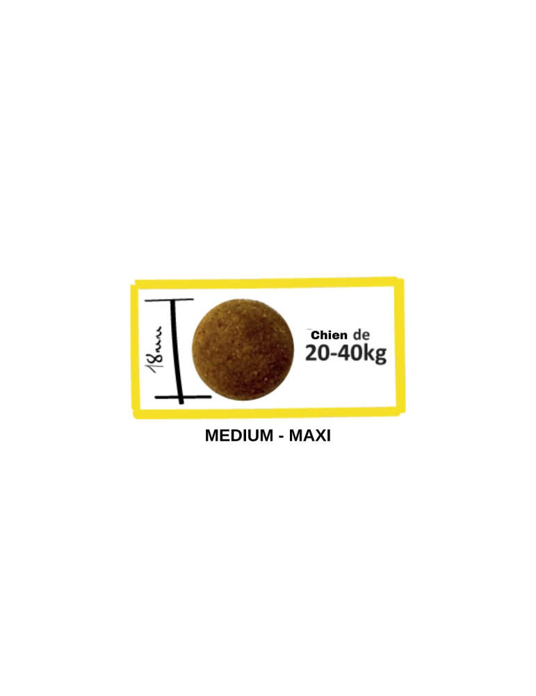Croquettes chien adulte au poulet - articulations sensibles - Farm flavour 2/2