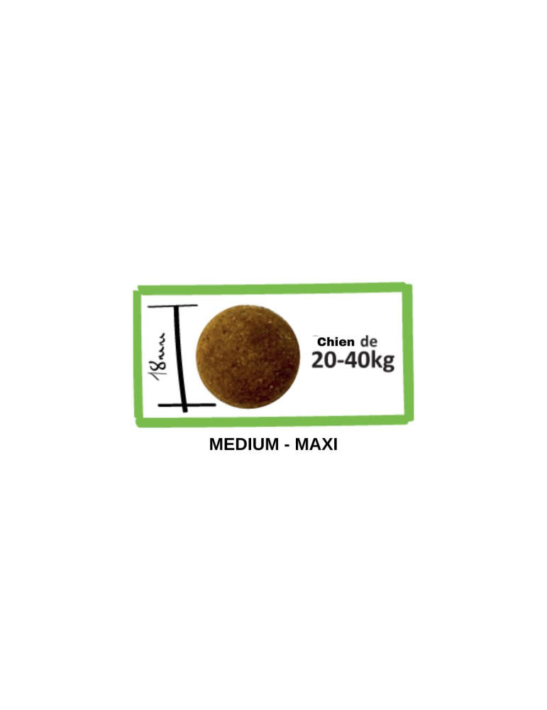 CROQUETTES CHIEN ADULTE – AGNEAU – DIGESTION - LENDA MEADOW TASTE 2/2