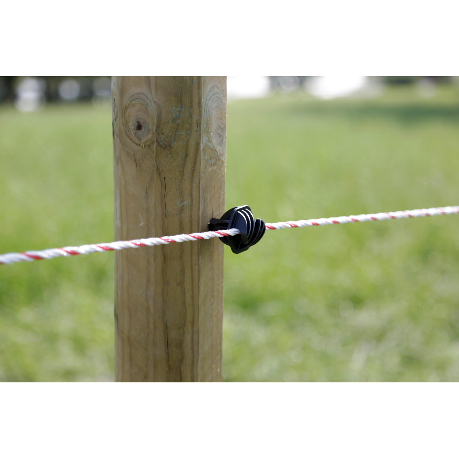 Isolateurs pour cordelette jusqu'à Ø 8 mm Ako EasyCord (x30) 4/5