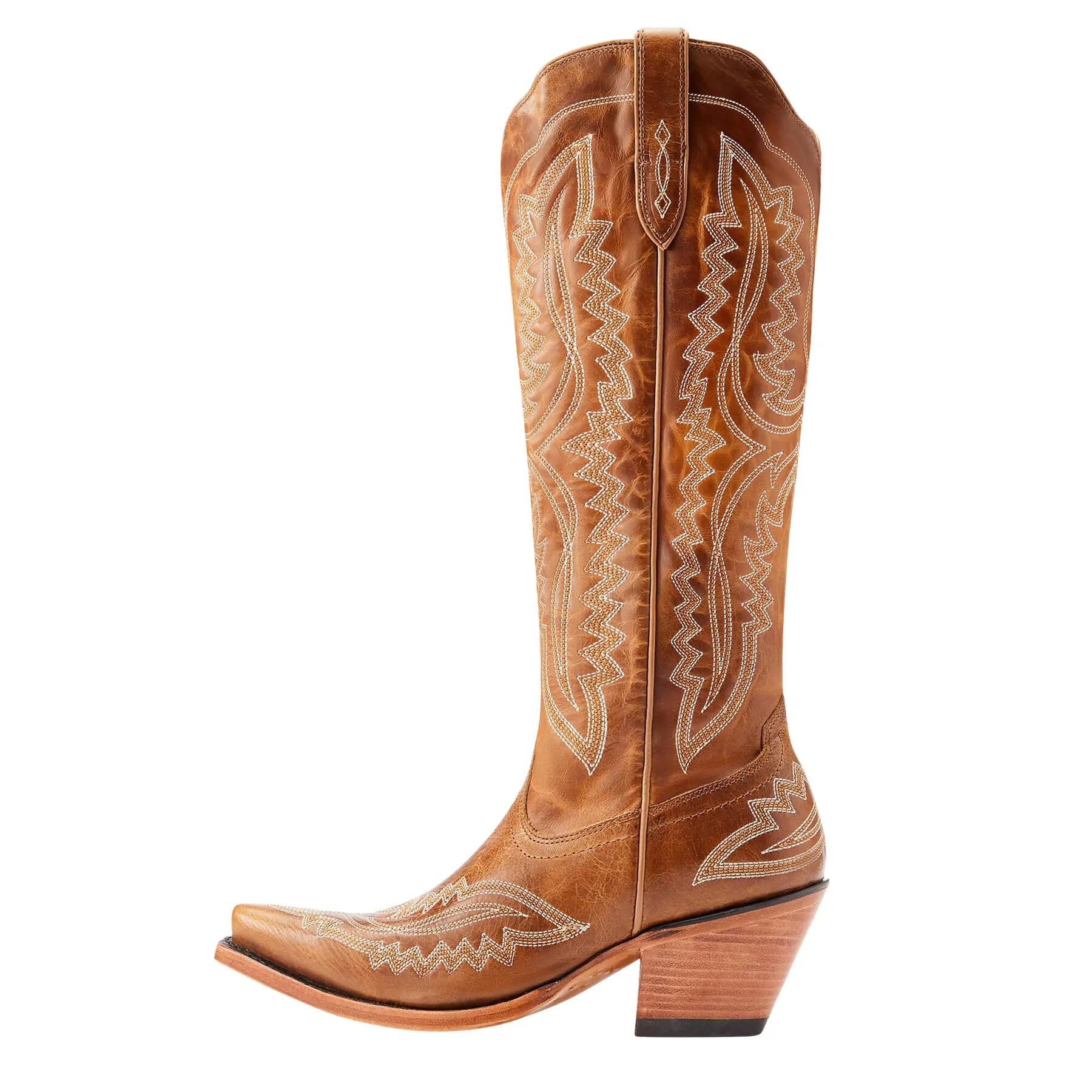 ARIAT picture