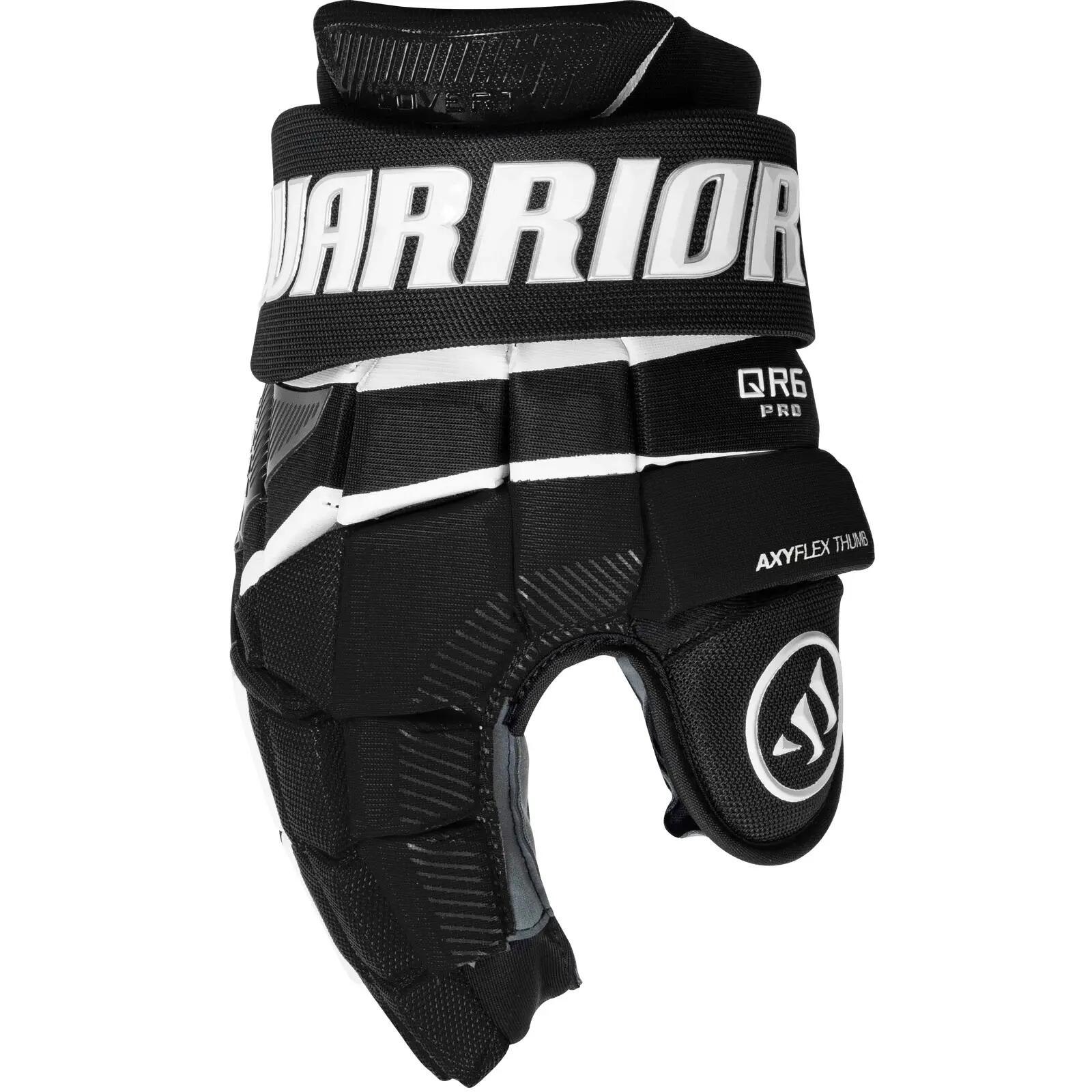 WARRIOR picture
