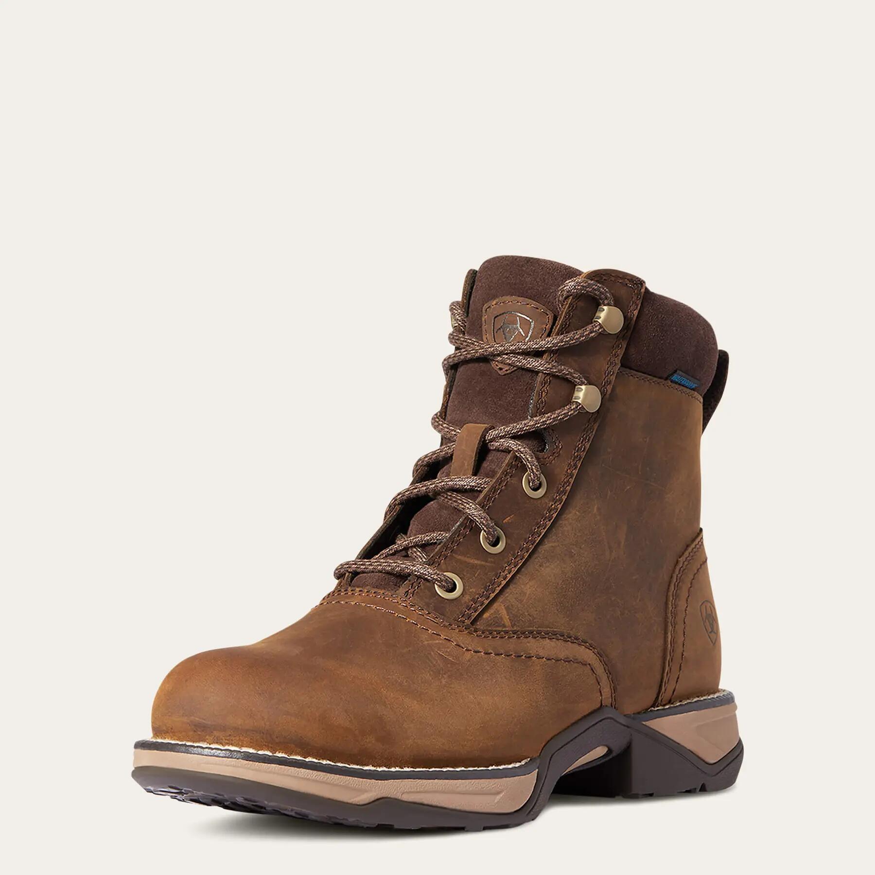 Chaussures d'écurie femme Ariat Anthem Round Toe 2/6