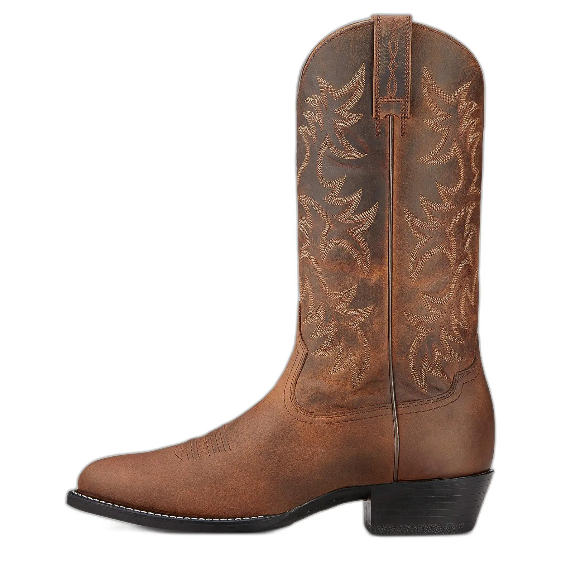 ARIAT picture
