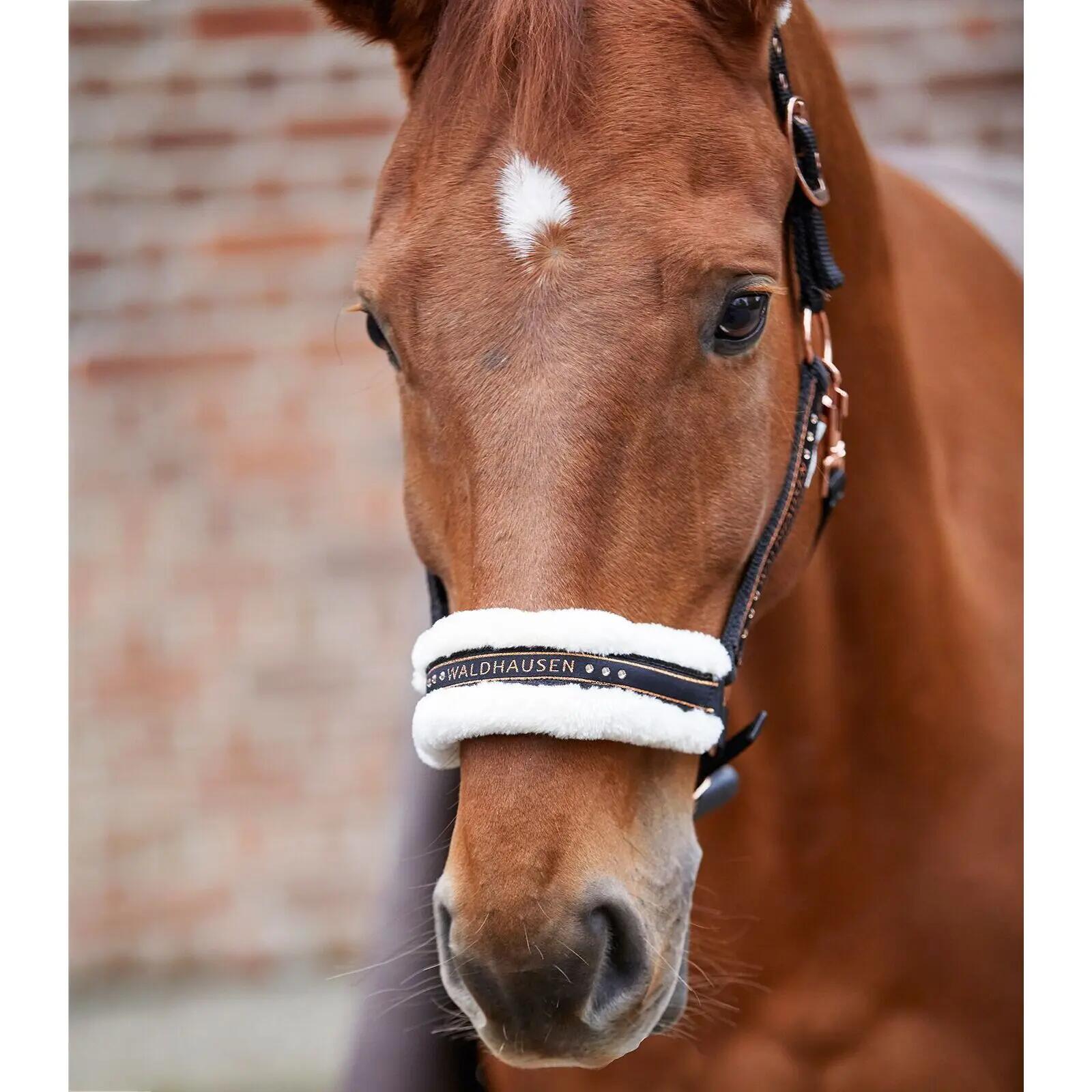 Licol pour cob avec fourrure Waldhausen Elegant 2/2