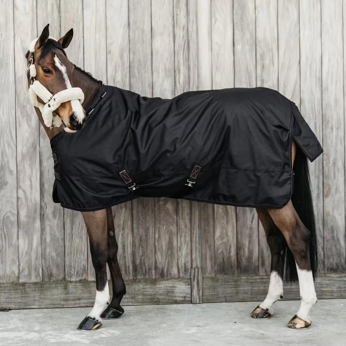 Coperta per cavalli da esterno impermeabile per tutte le stagioni Kentucky Horse 2/5