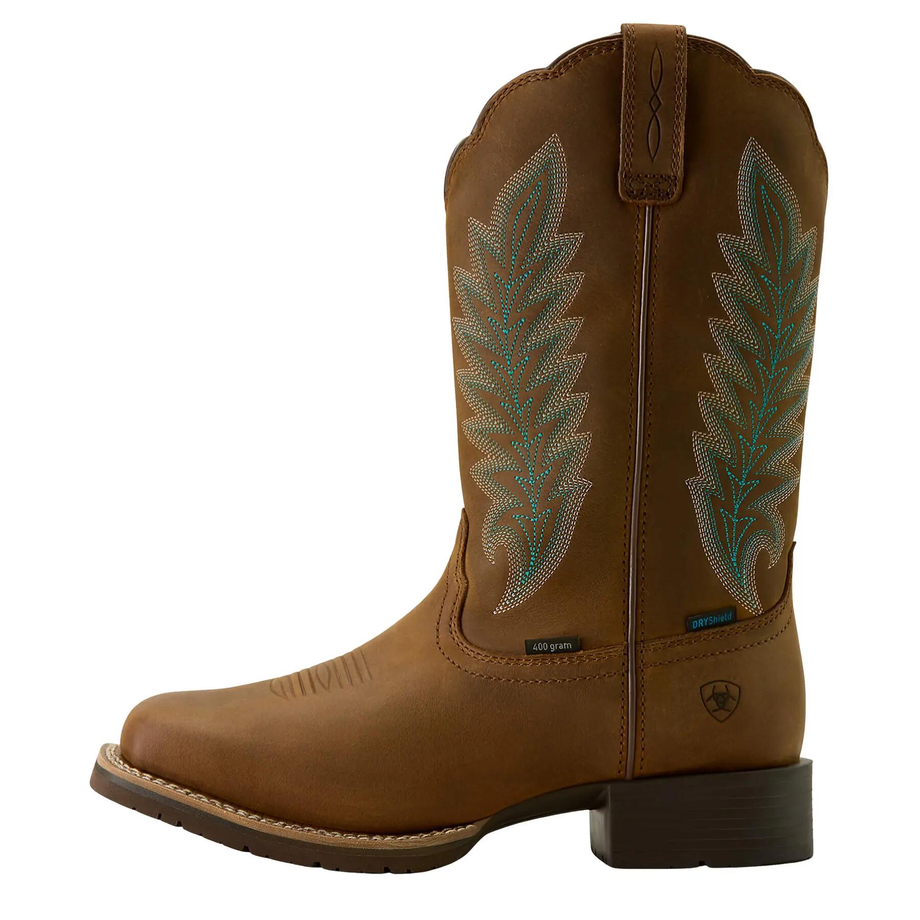 ARIAT picture
