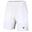 Pantaloni scurți de tenis pentru bărbați Tecnifibre Team Stretch Short
