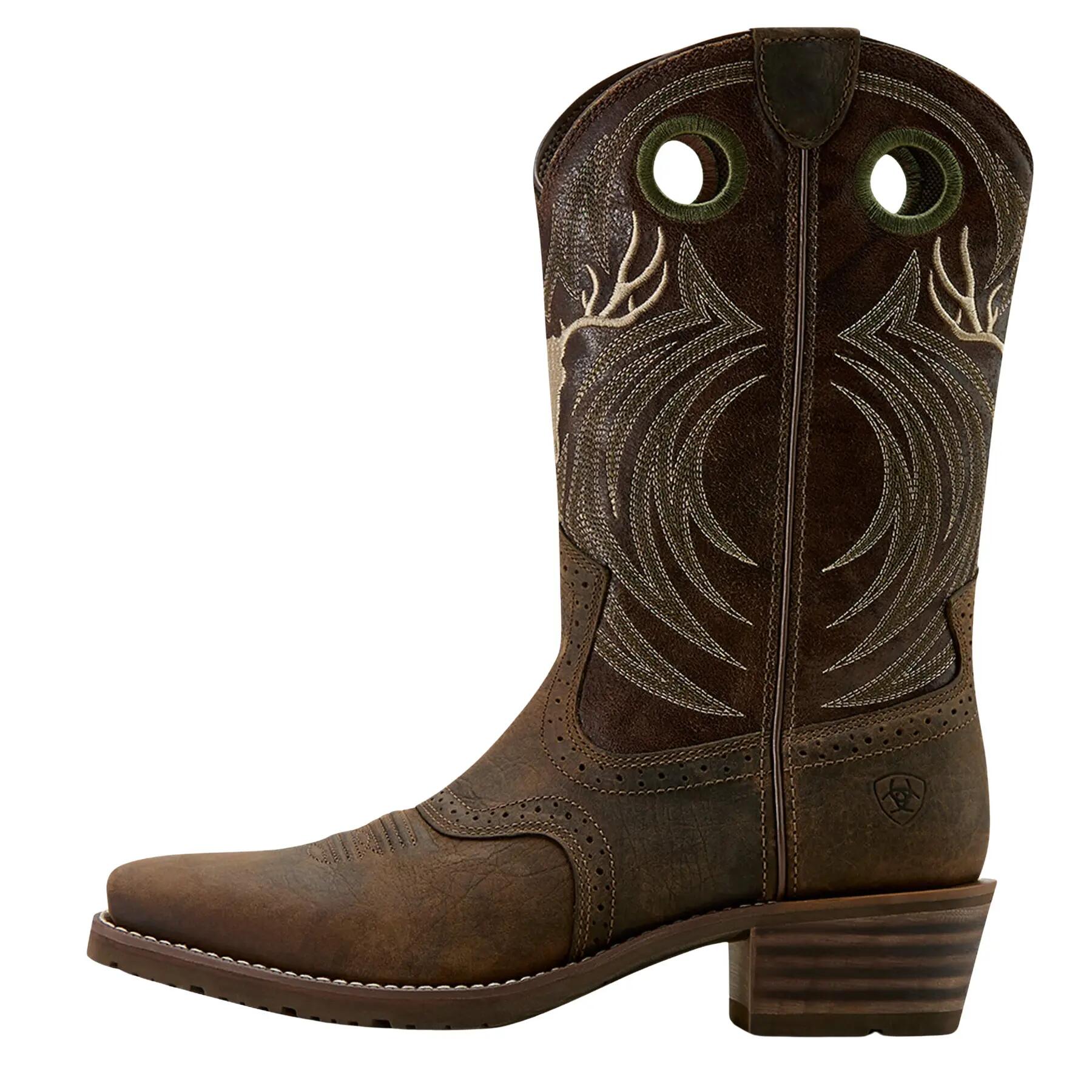 ARIAT picture