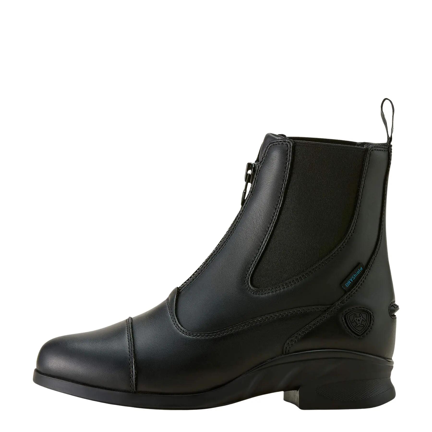 ARIAT picture