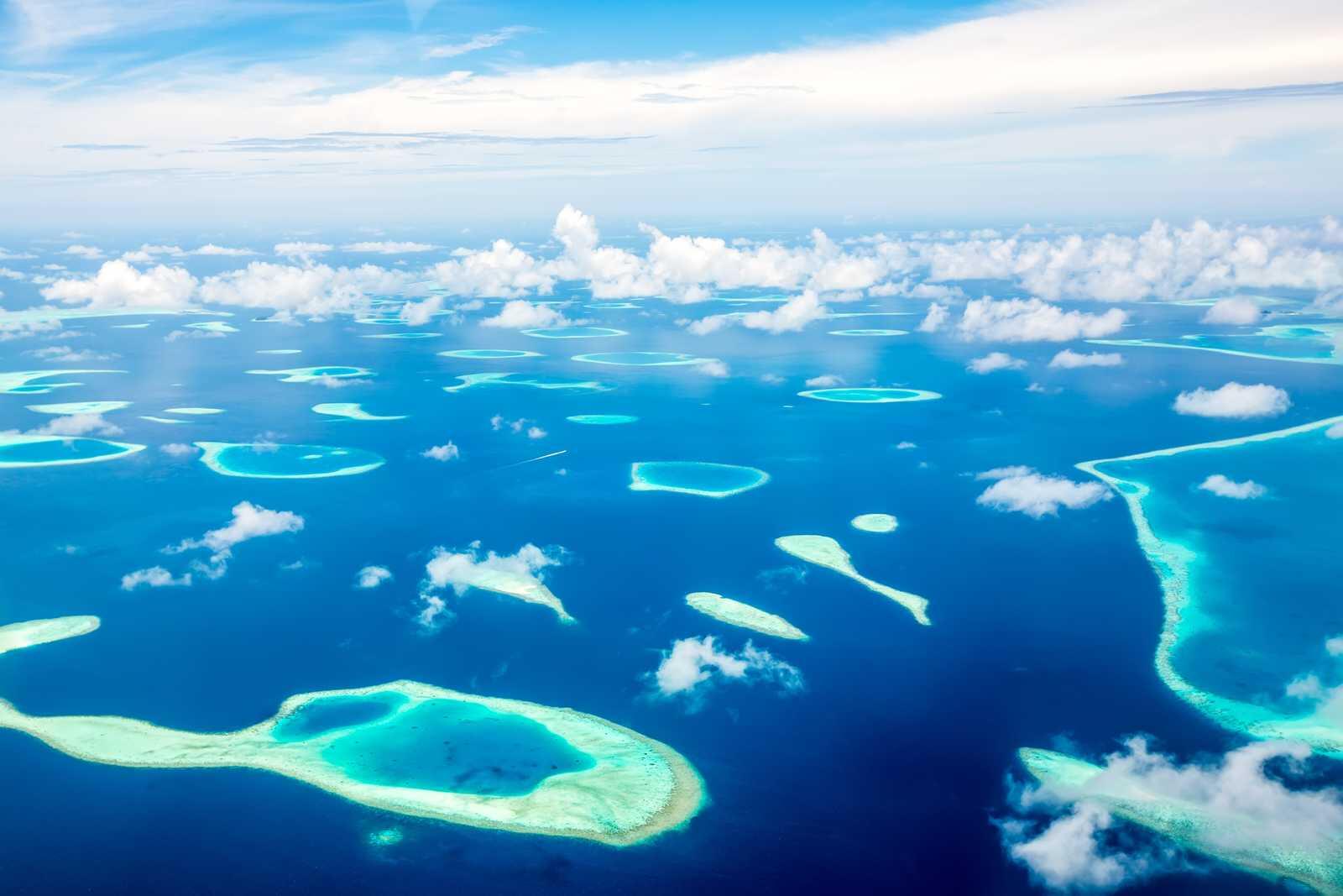 Croisière plongée aux Maldives 1/1