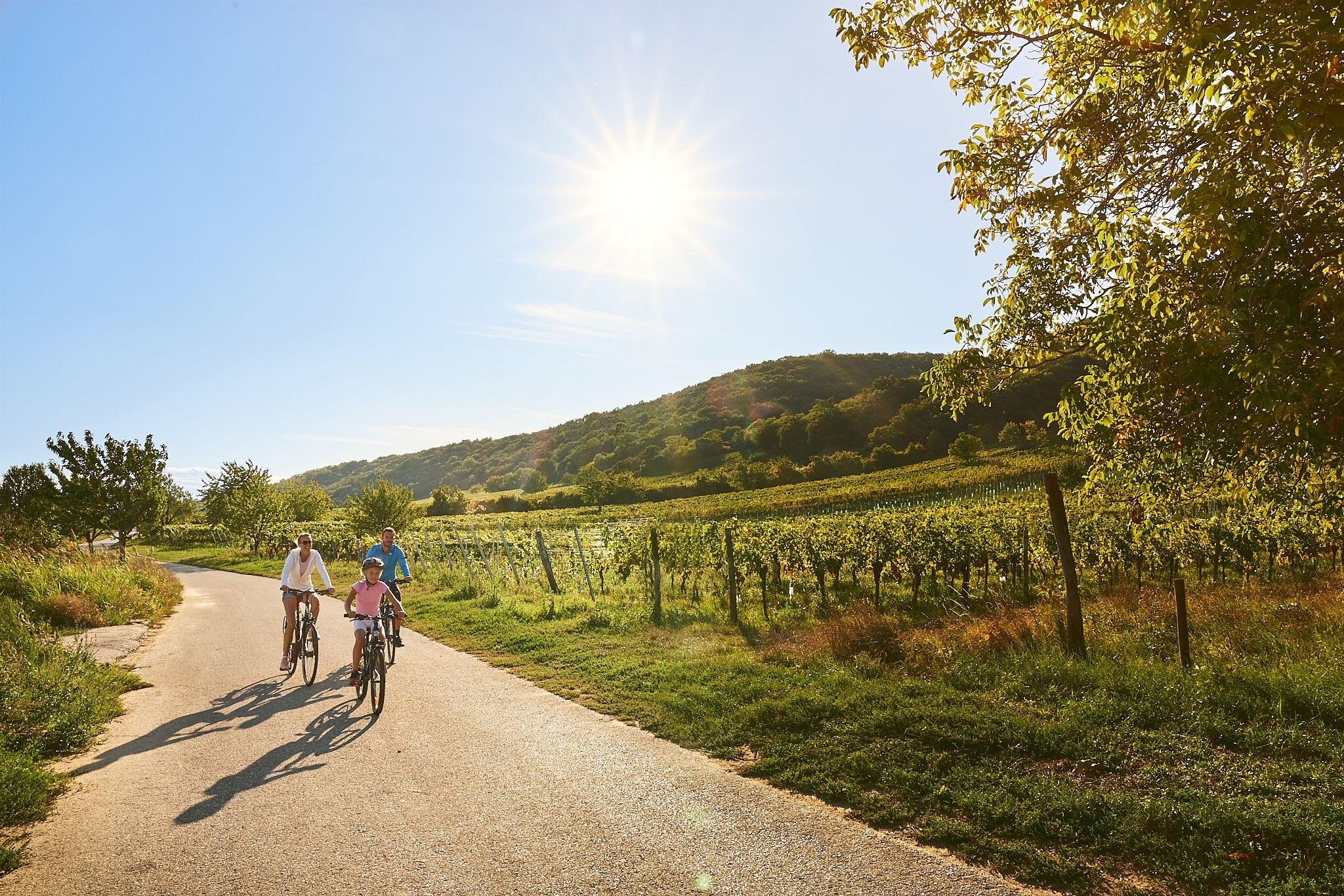 La Bourgogne Sud à vélo en famille | 6 jours 1/1