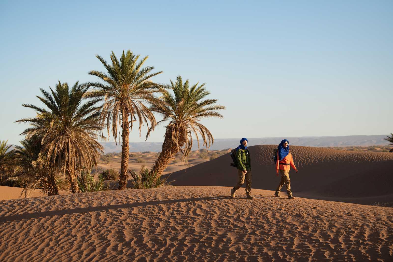 Onderdompeling in de grote ergs van de Sahara 1/1