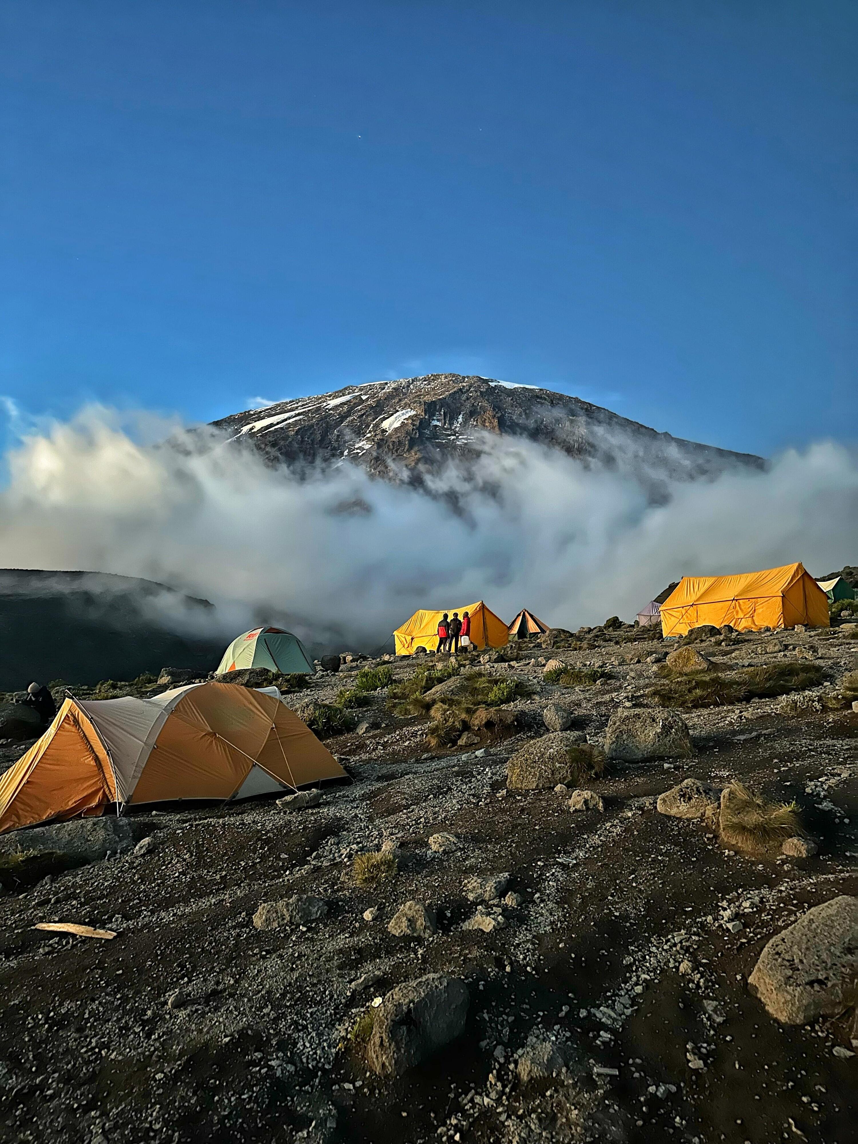 DECATHLON TRAVEL picture