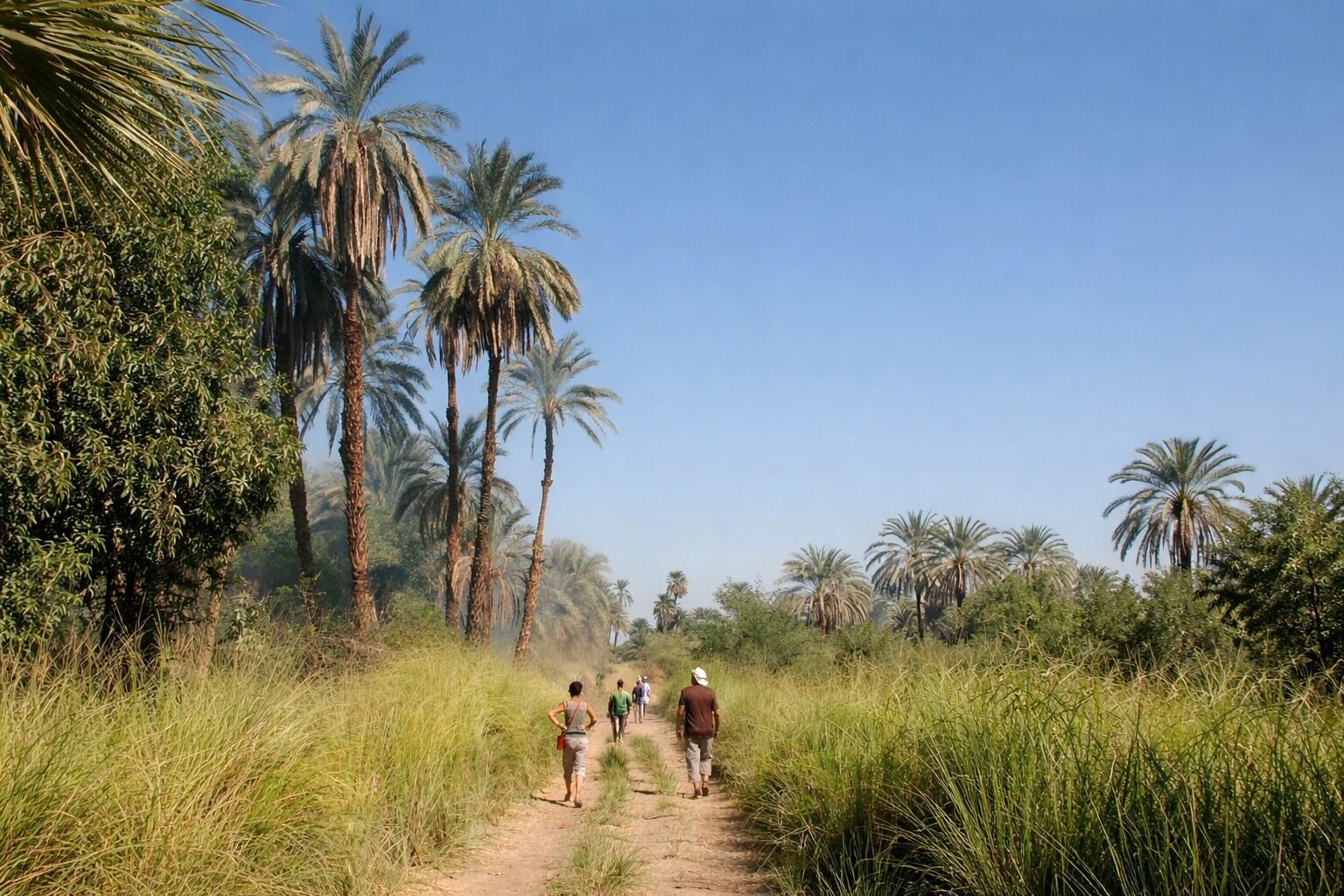DECATHLON TRAVEL picture