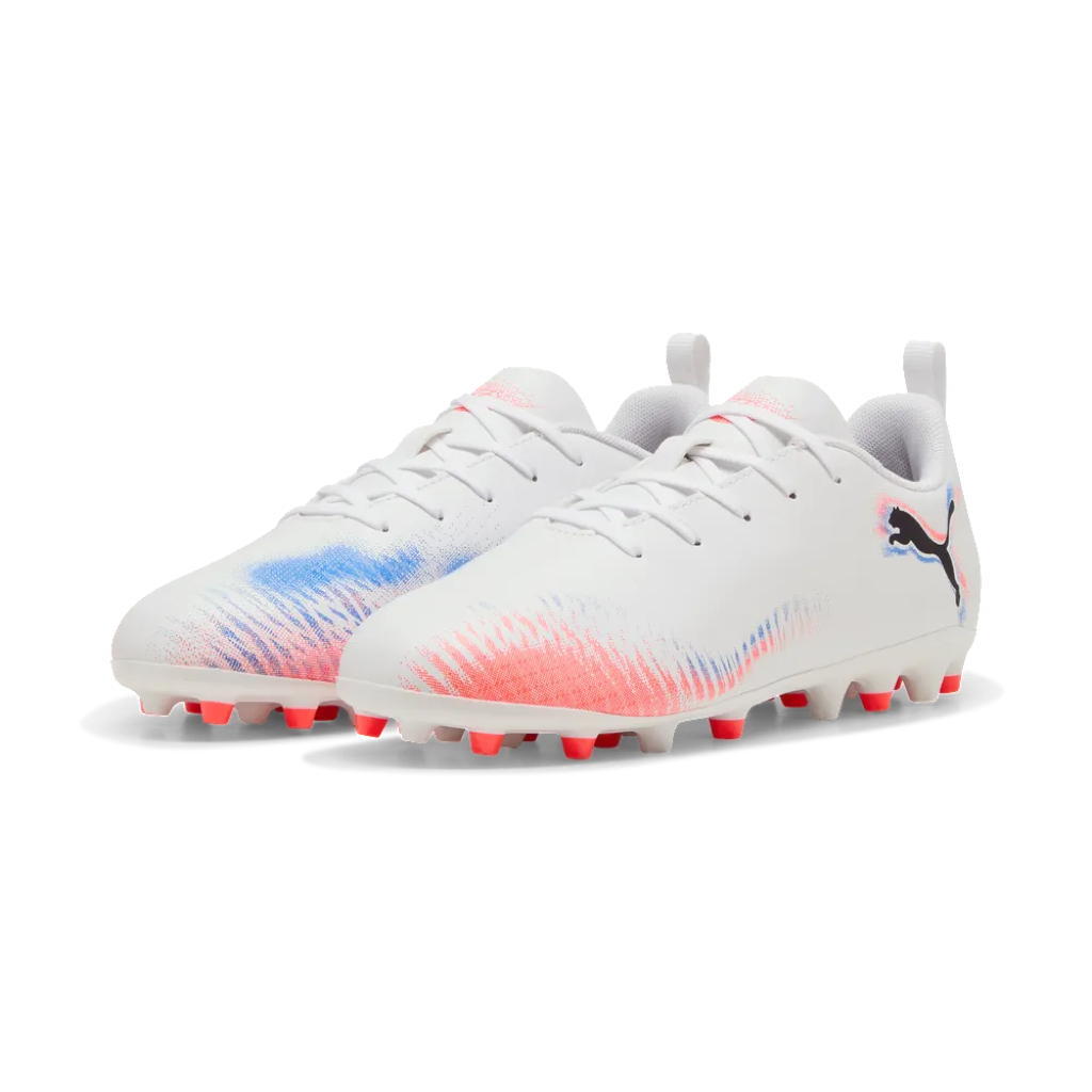 PUMA picture