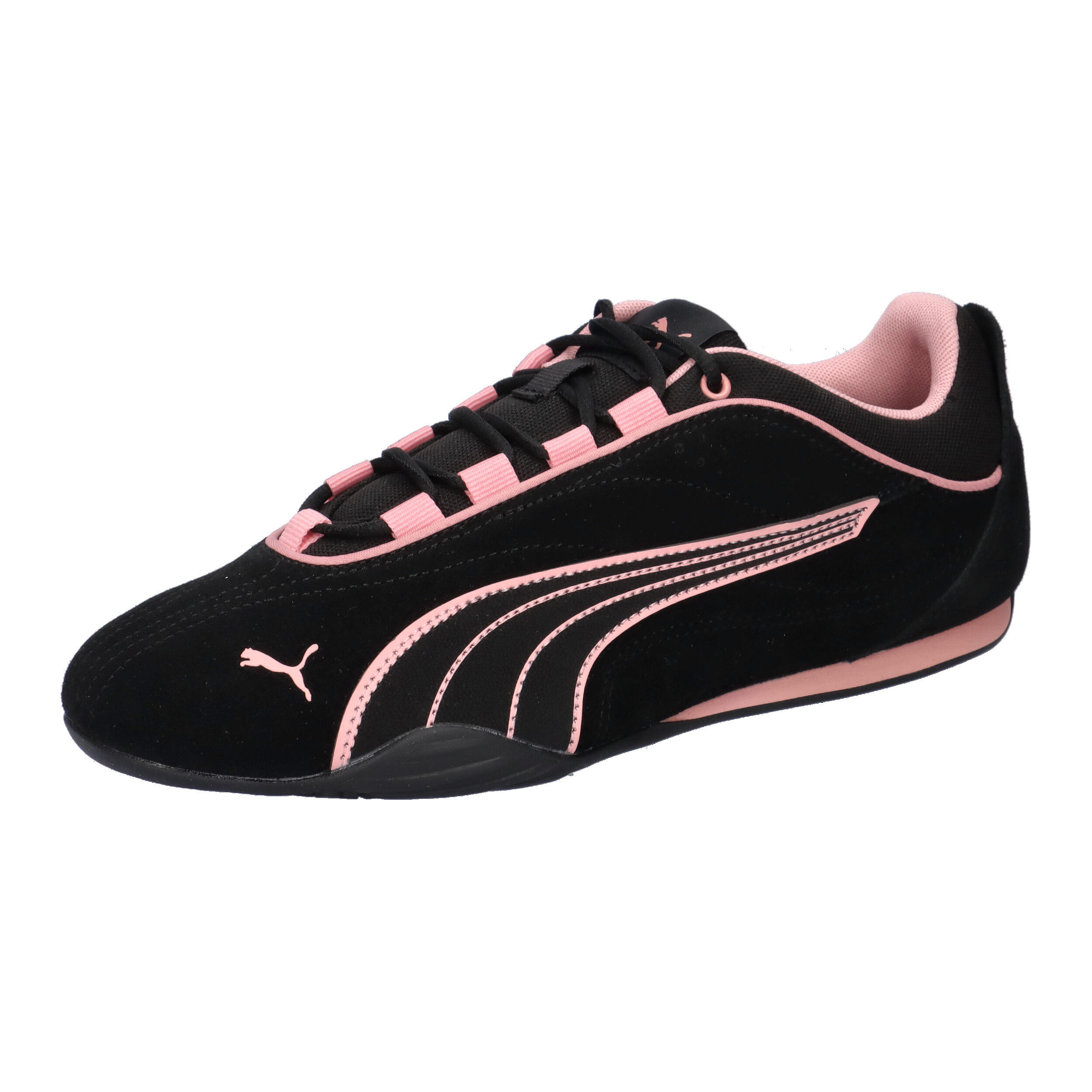 PUMA picture