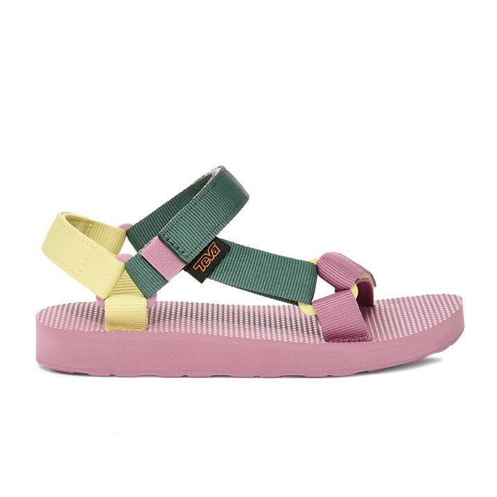 TEVA picture