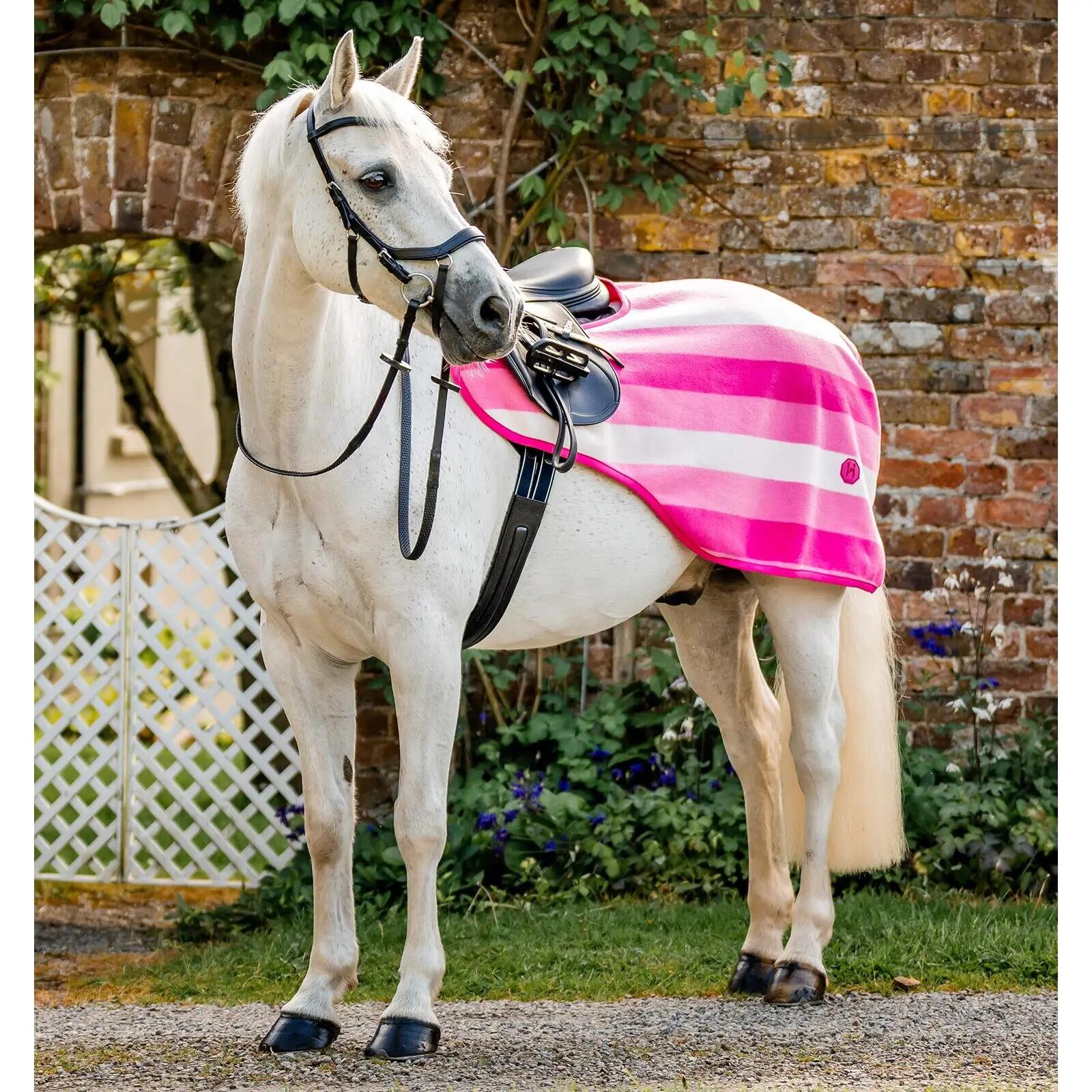 HORSEWARE IRELAND picture