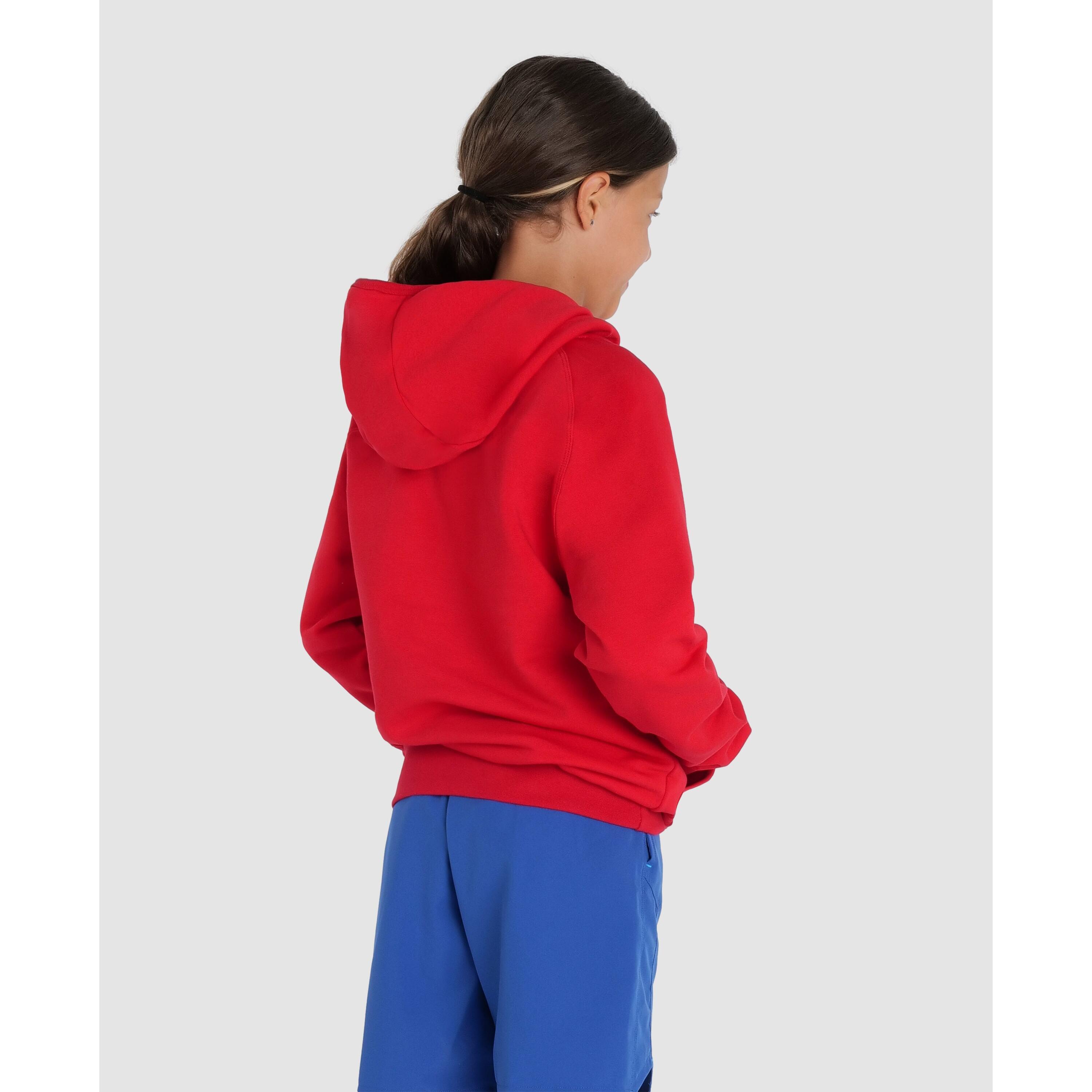 Sweatshirt à capuche enfant Arena Team Panel 5/7