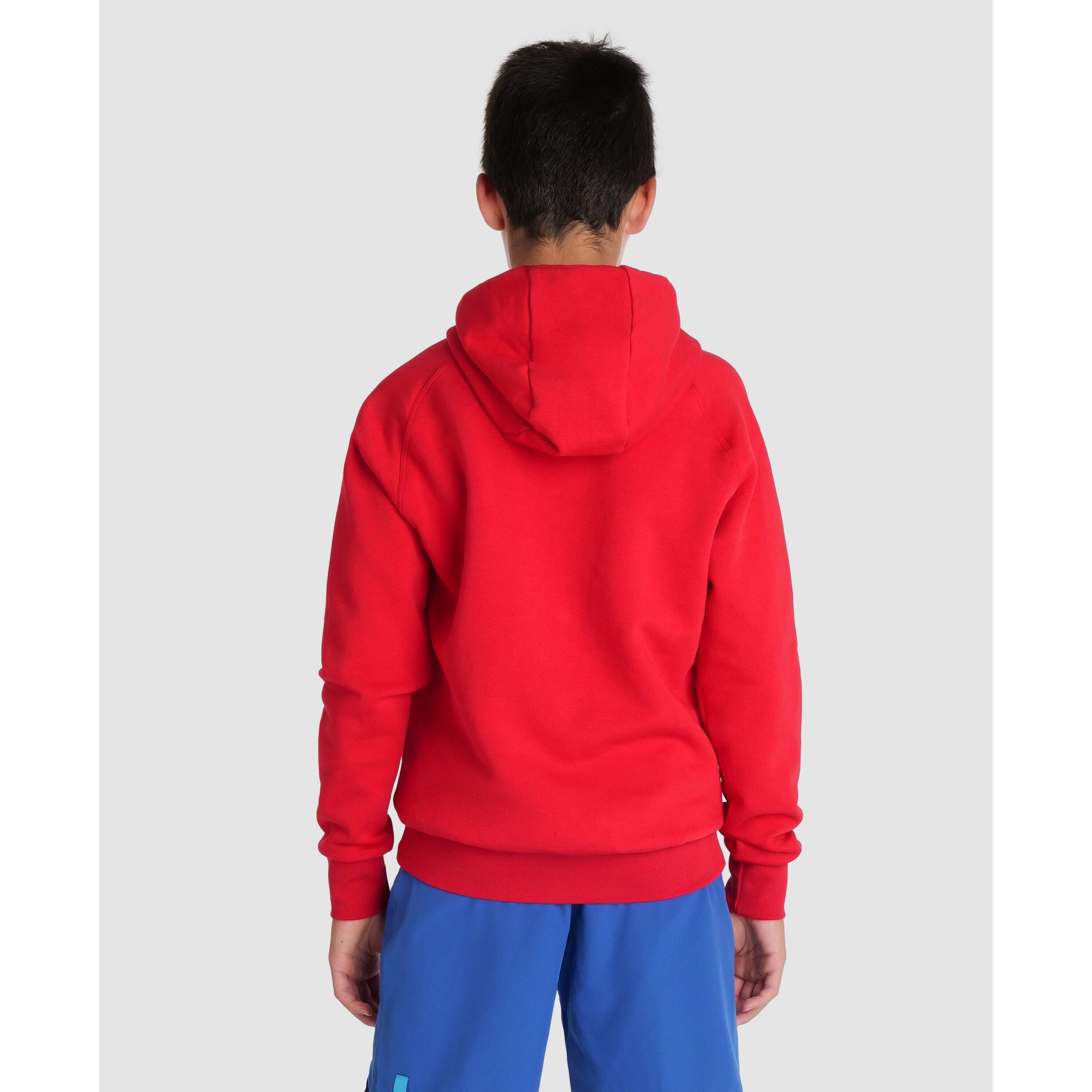 Sweatshirt à capuche enfant Arena Team Panel 4/7