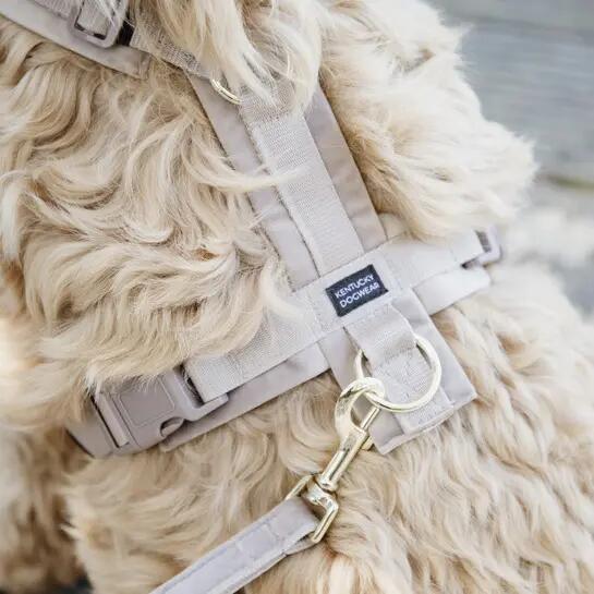 Harnais pour chien actif Kentucky Velvet 2/3