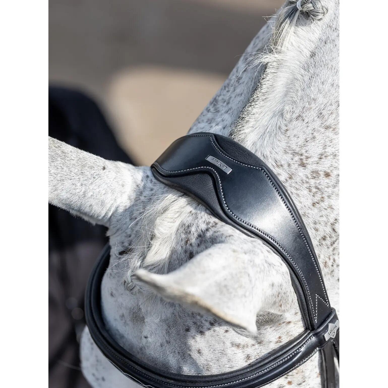 Hoofdstel voor paarden LeMieux Competition Flash 3/4