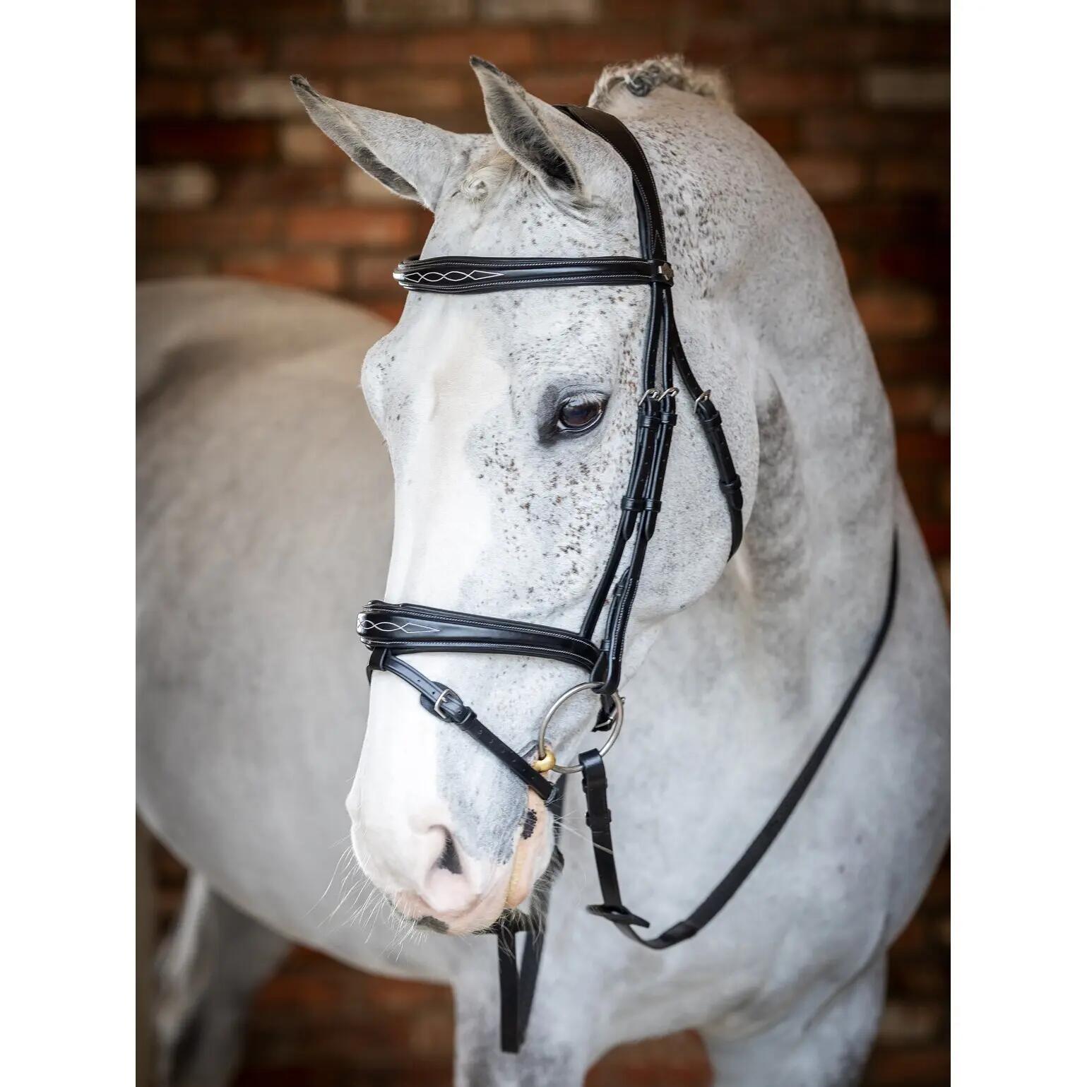 Hoofdstel voor paarden LeMieux Competition Flash 2/4