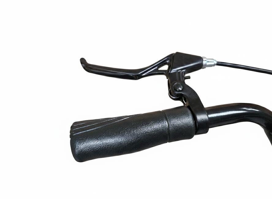 Rower Miejski Dallas Bike City 28" 7spd 5/7