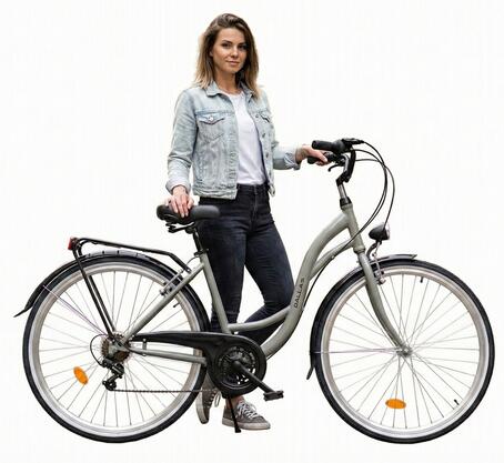 Rower Miejski Dallas Bike City 28