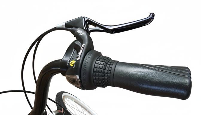 Rower Miejski Dallas Bike City 28" 7spd 7/7