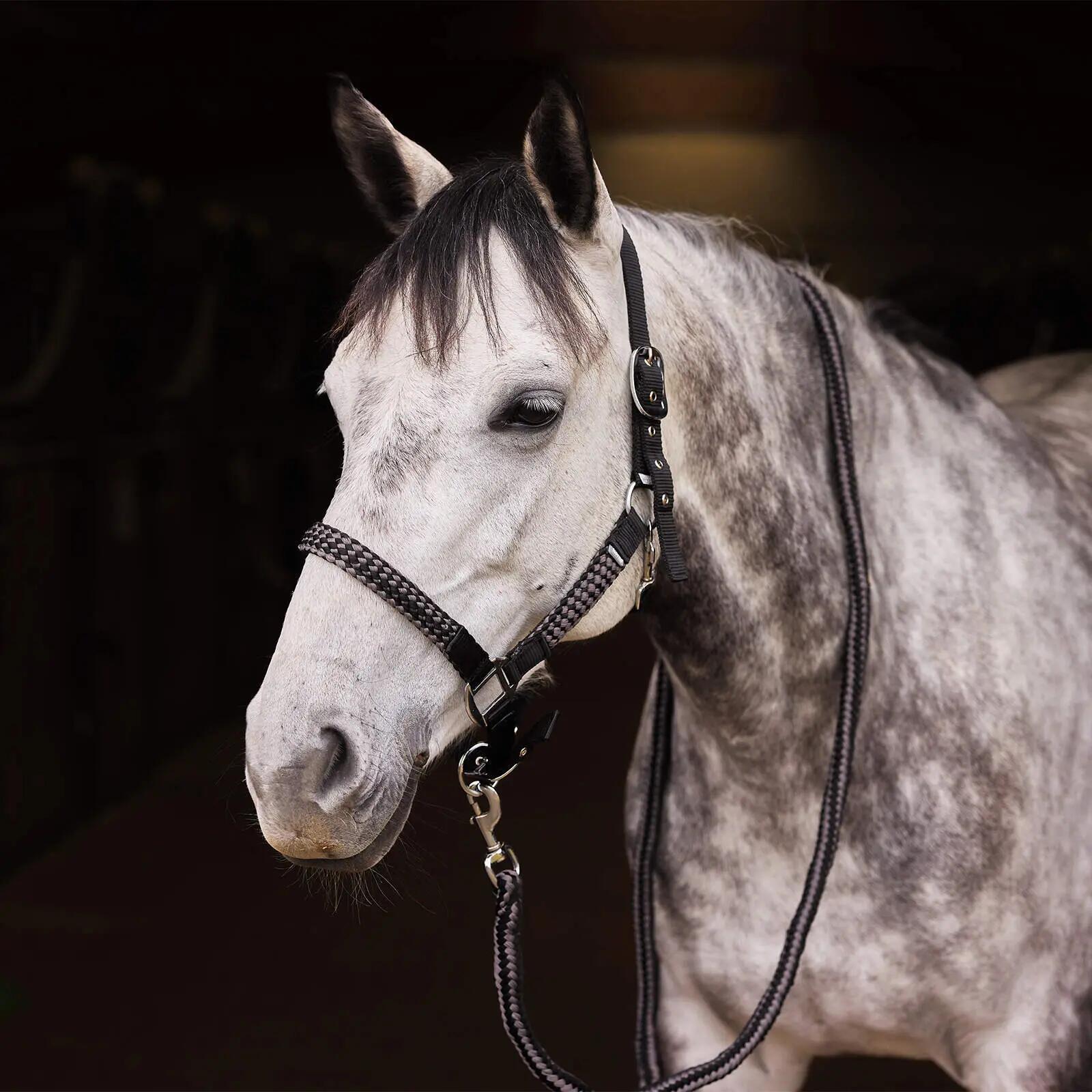 Halster en touwset voor paarden Horze Chicago 3/3
