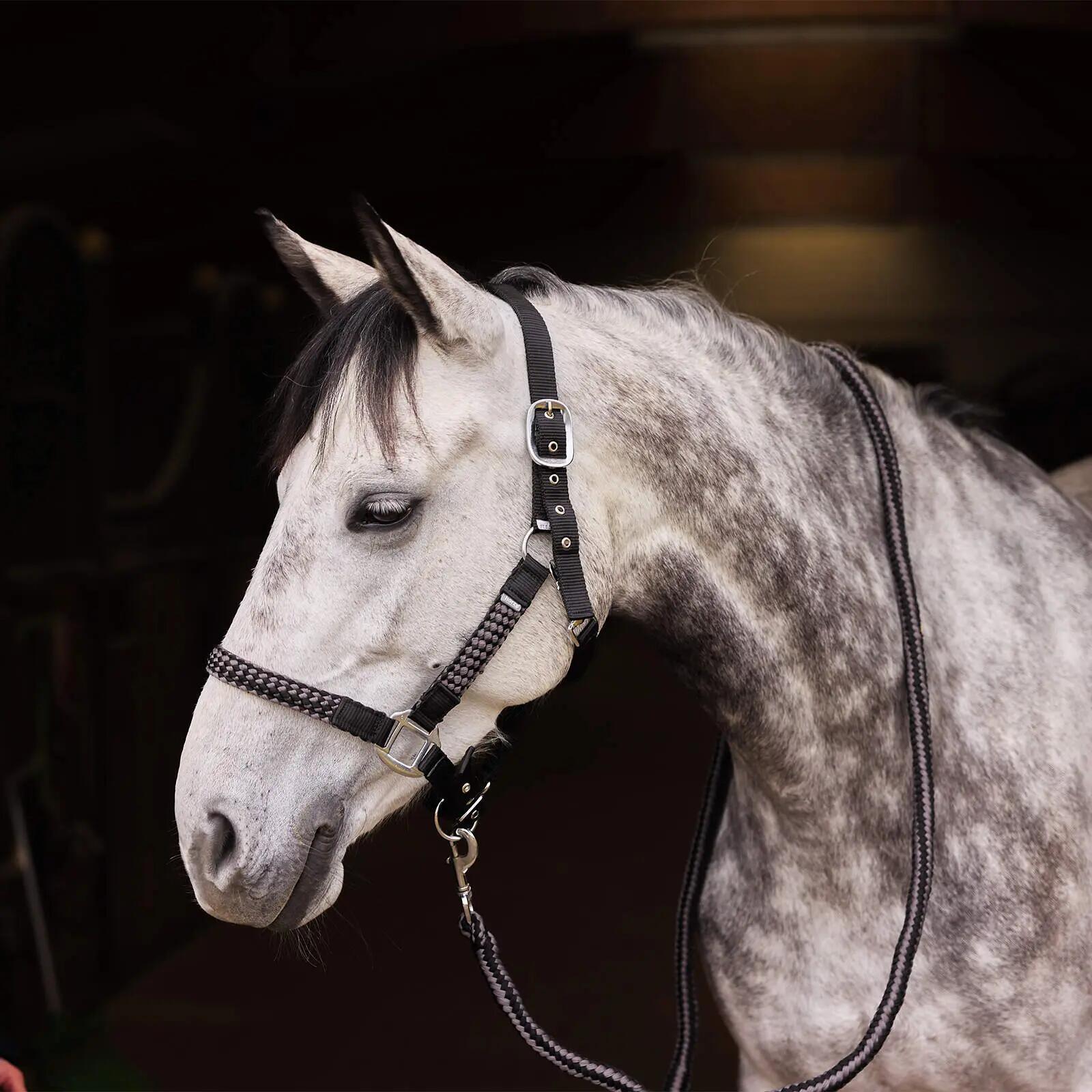Halster en touwset voor paarden Horze Chicago 2/3