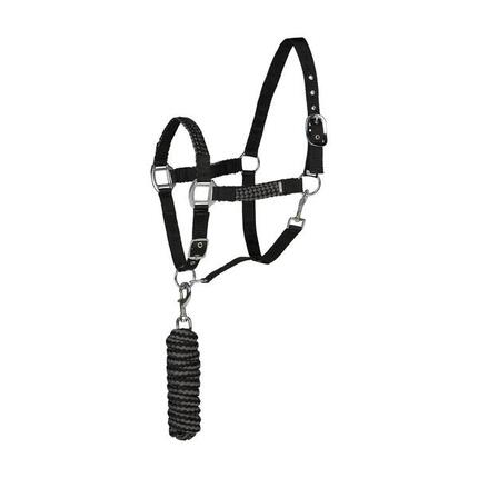Ensemble licol et longe pour cheval Horze Chicago