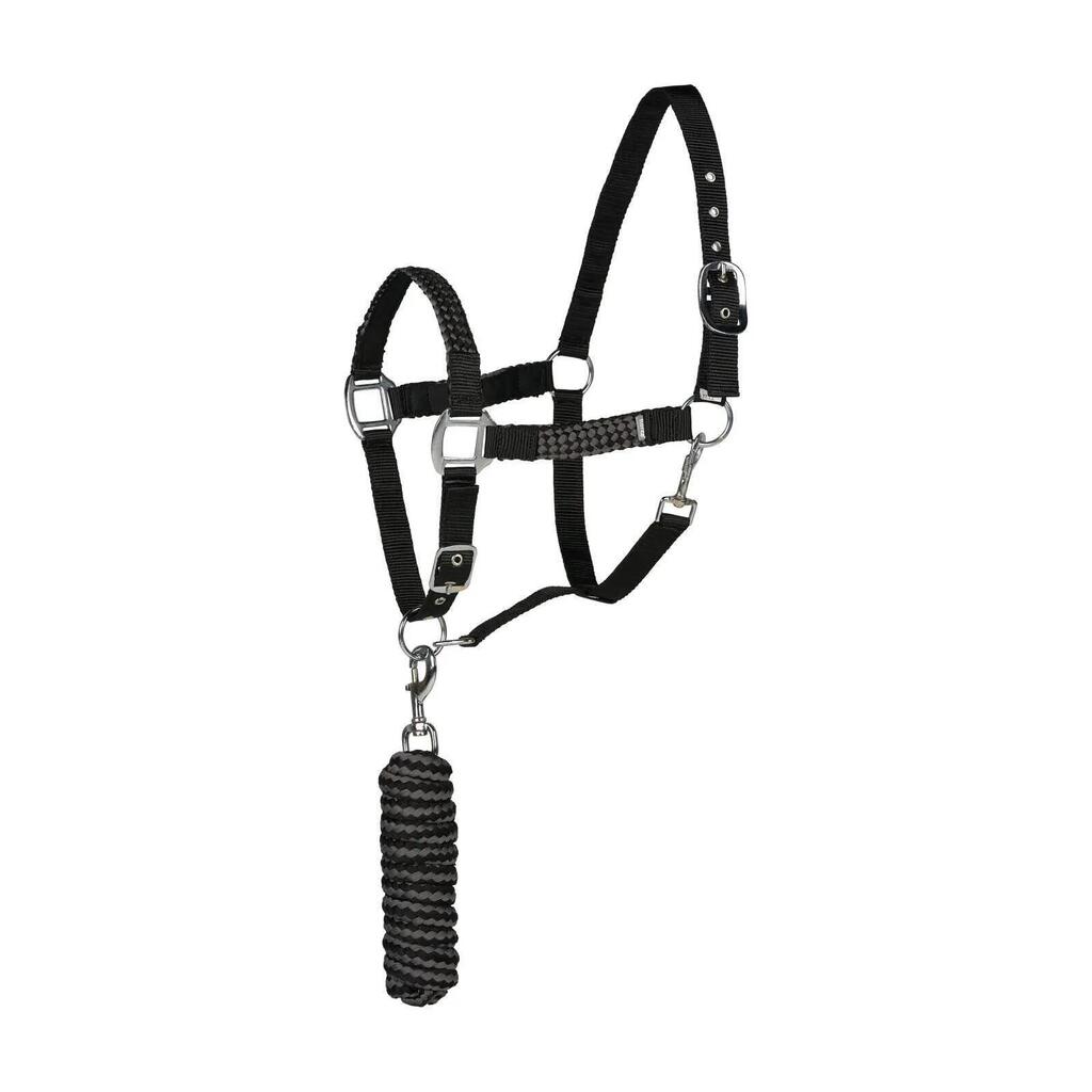 Halter and lead rope set for horse Horze Chicago
