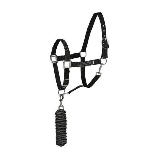 Ensemble licol et longe pour cheval Horze Chicago