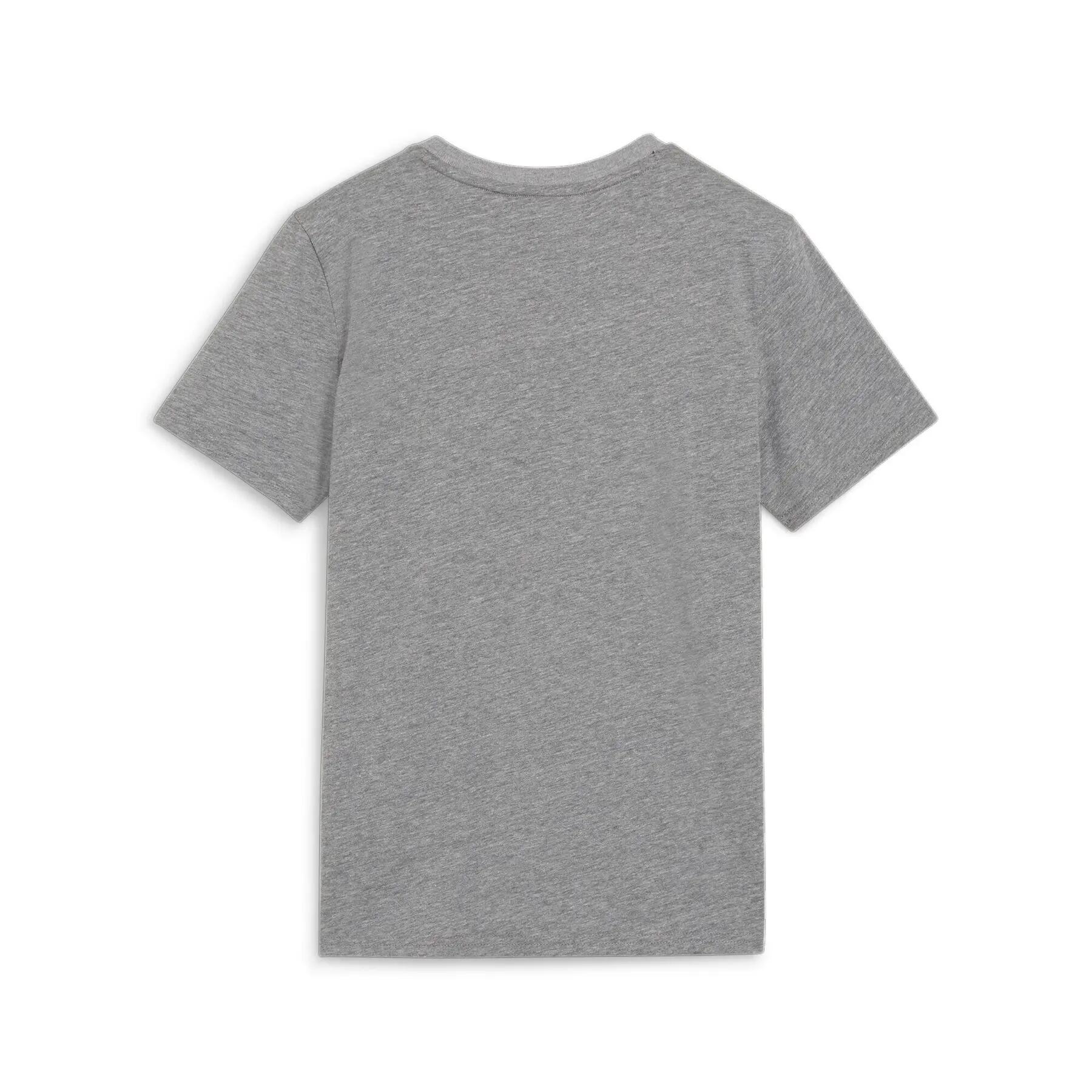 T-shirt enfant Puma Team Goal 2/2