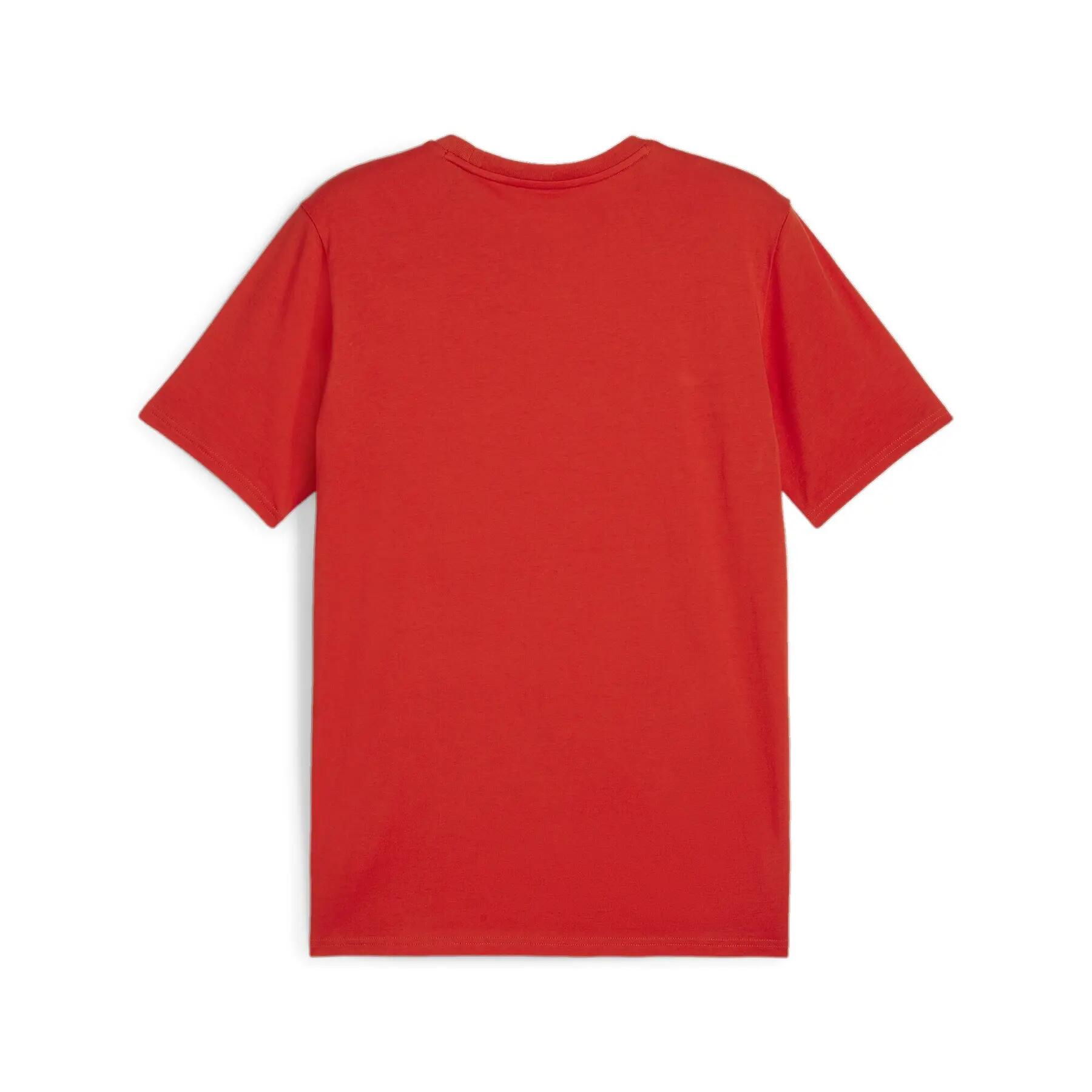 T-shirt Puma Team Goal 2/6