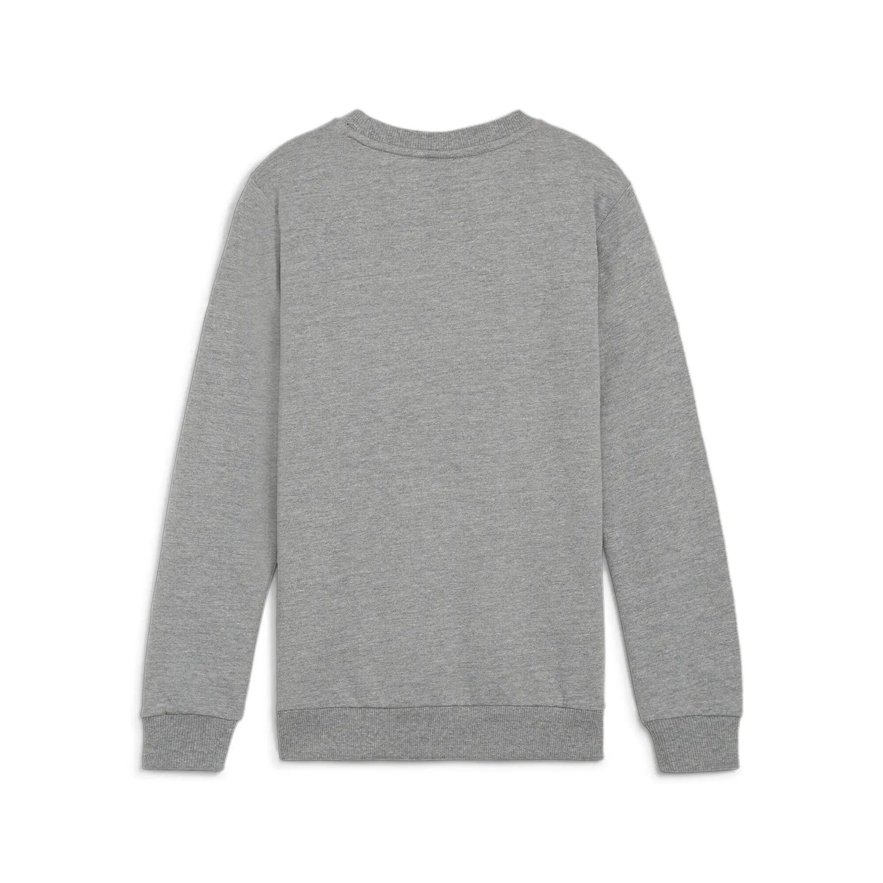 PUMA teamGOAL Casuals Crew Neck Sweat Jr Kinder Sweatshirt Pullover 658593 33 2/2